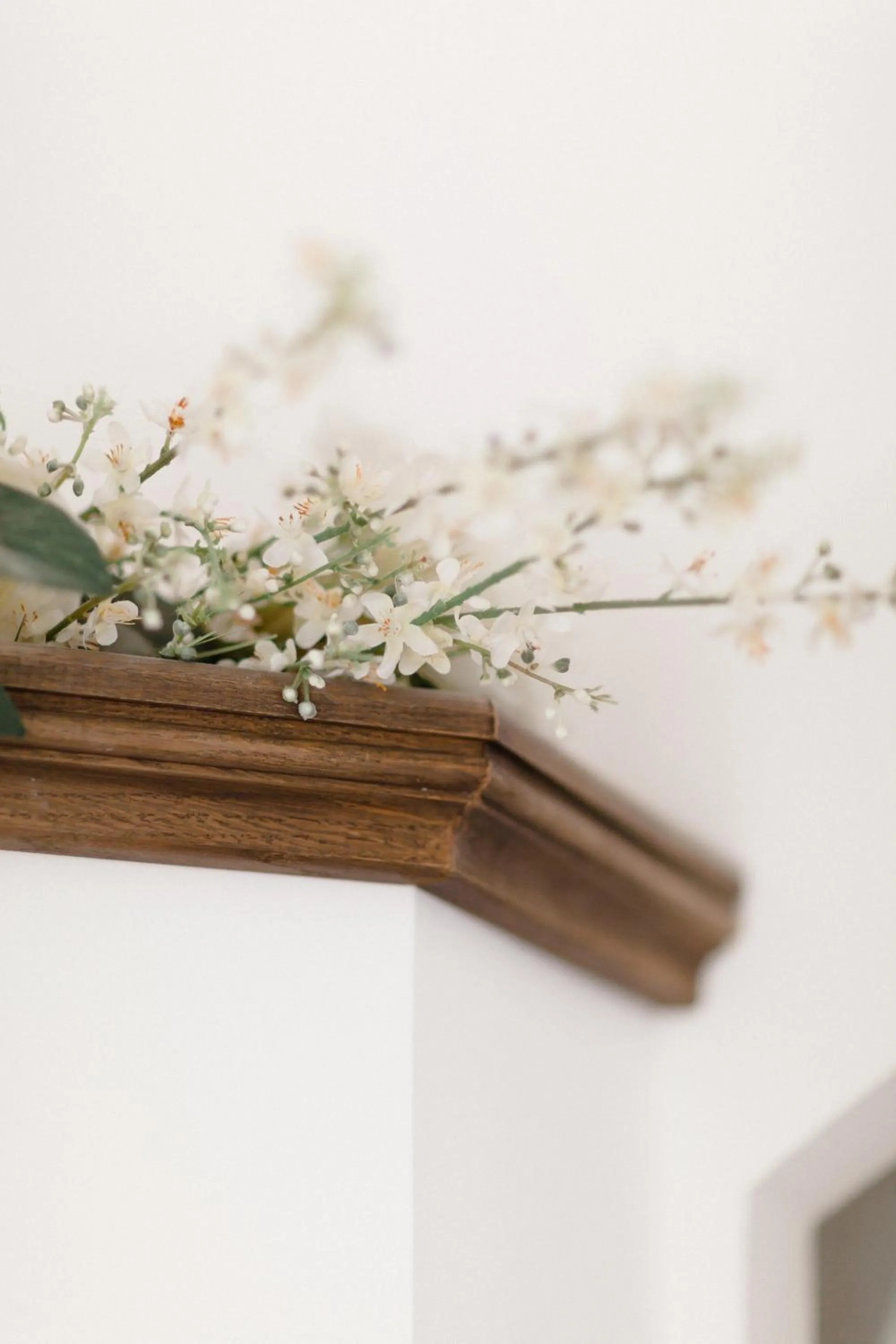 Decorative detail in Provence Dodo