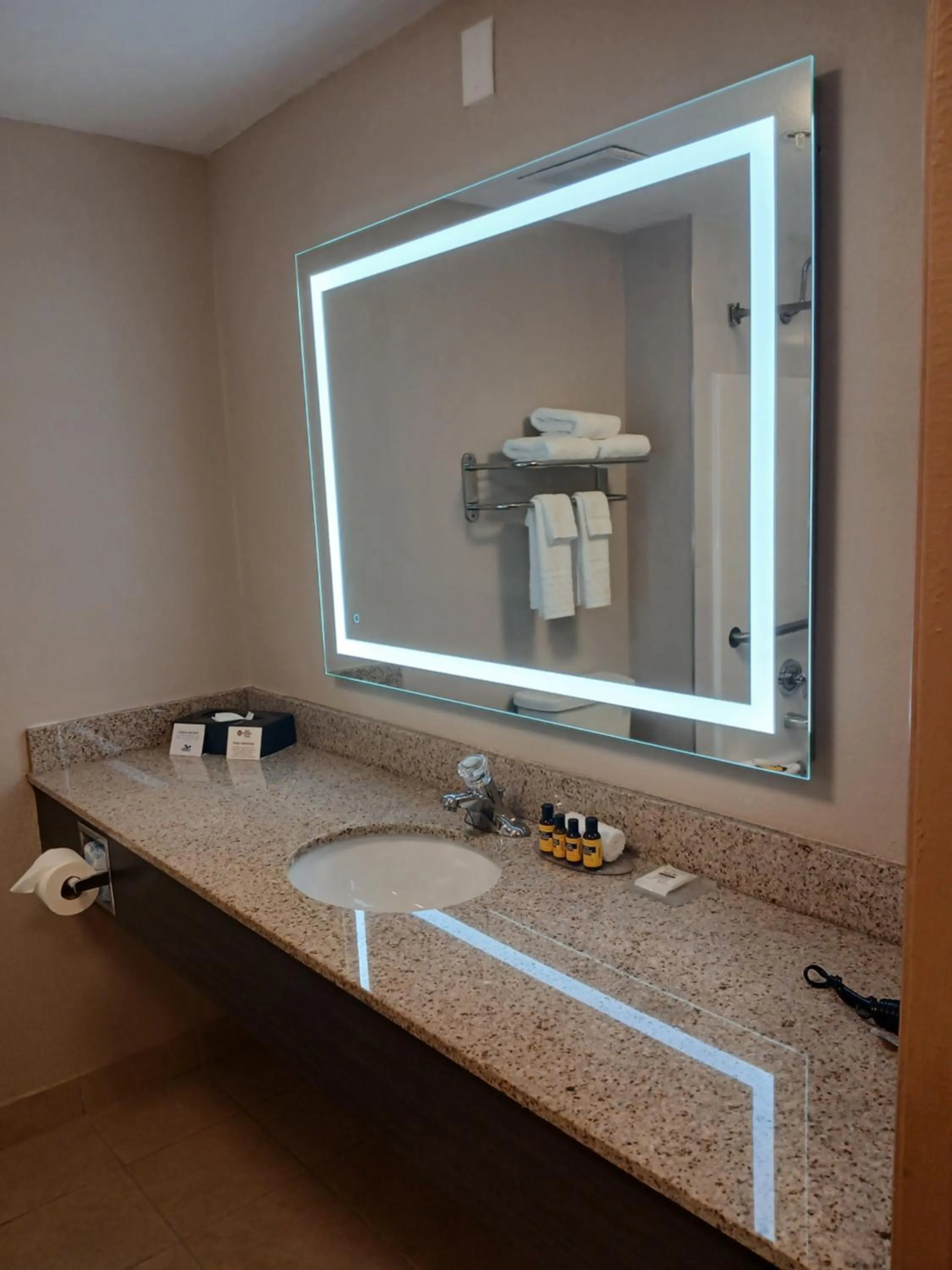 Bathroom in Best Western Plus Bradenton Hotel & Suites