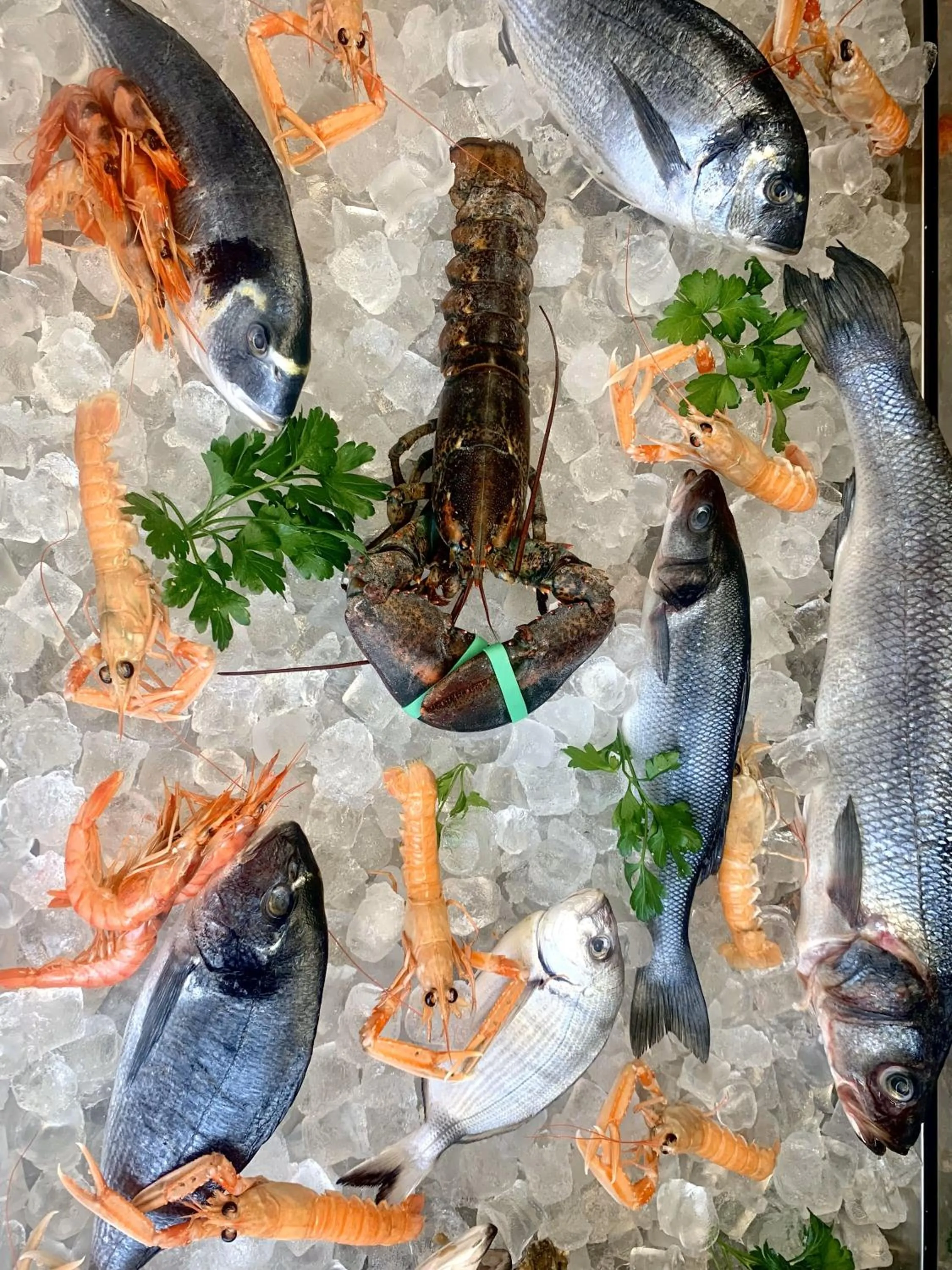 Food in HOTEL MERCURIO SUL MARE - Fish restaurant and private beach