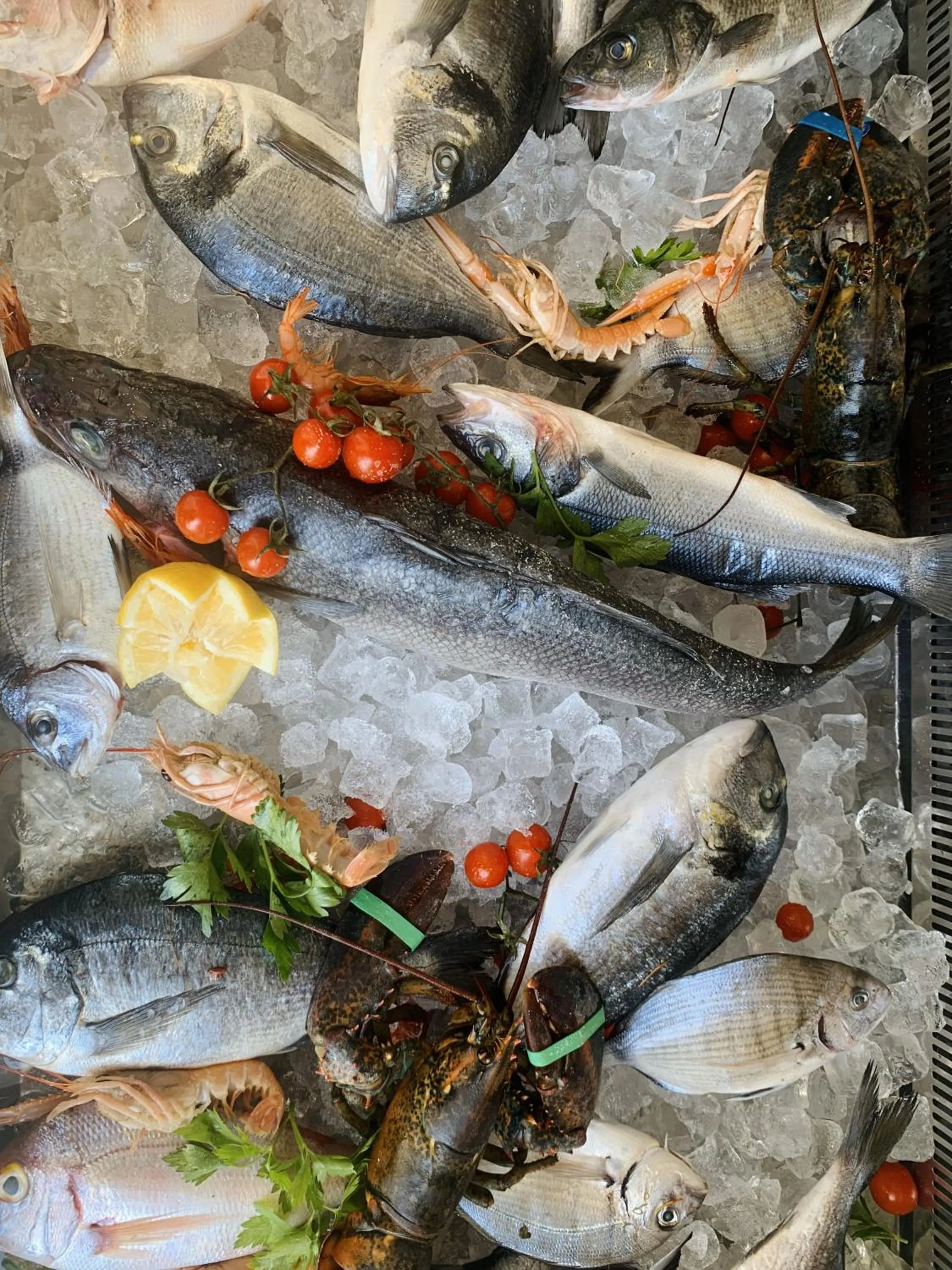 Food in HOTEL MERCURIO SUL MARE - Fish restaurant and private beach