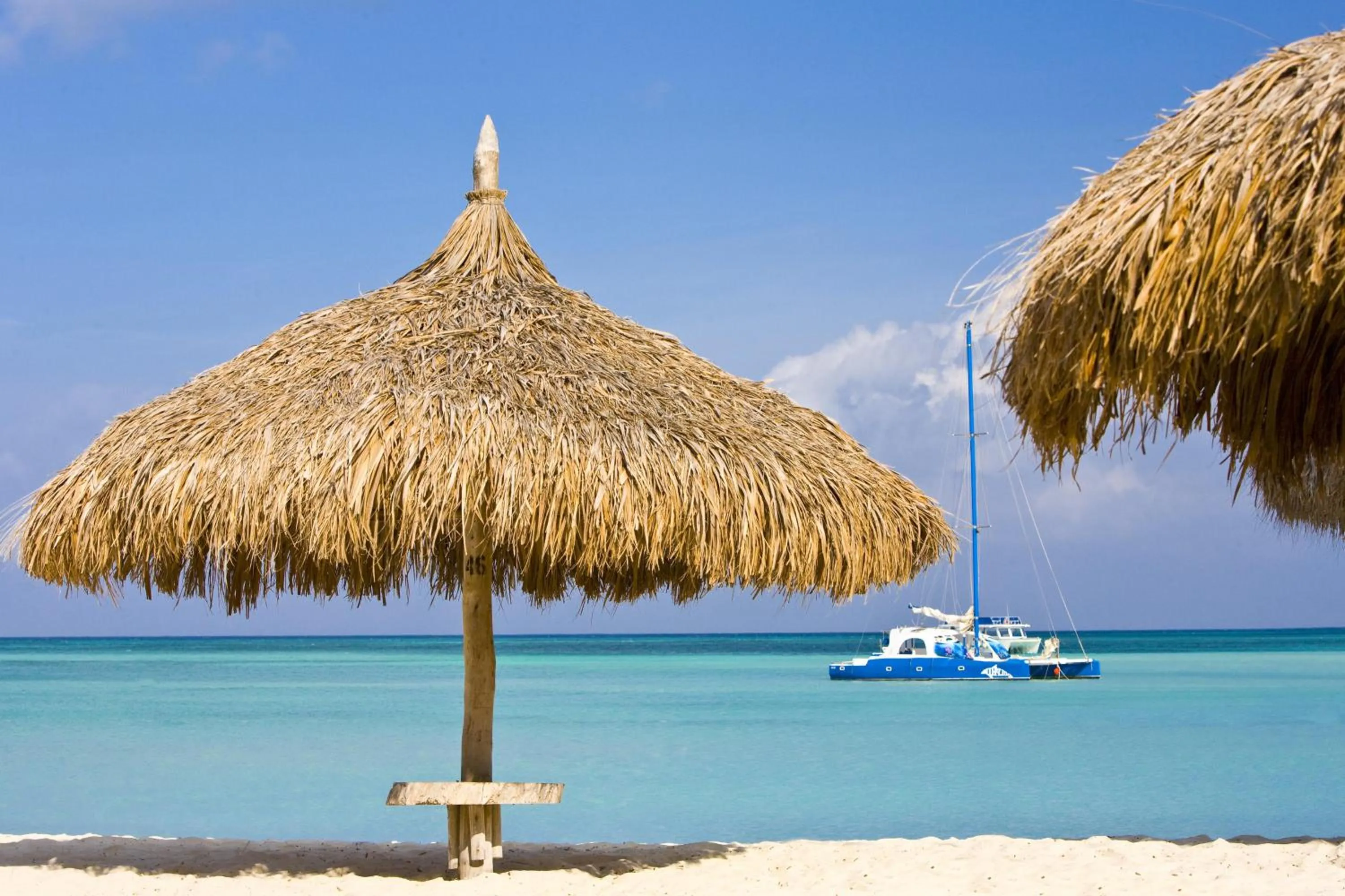 Beach in Hyatt Regency Aruba Resort & Casino