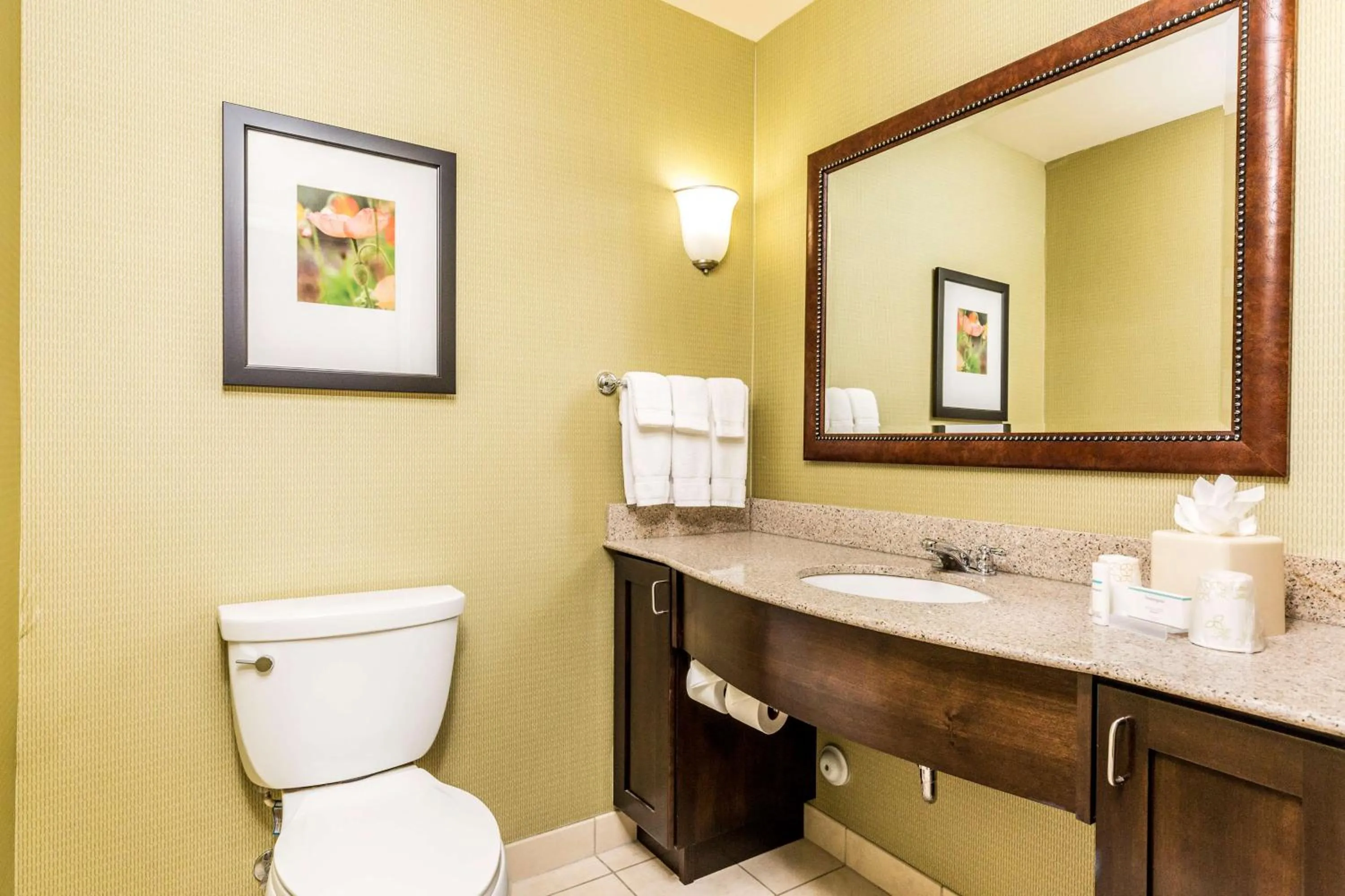 Bathroom in Hilton Garden Inn St. George