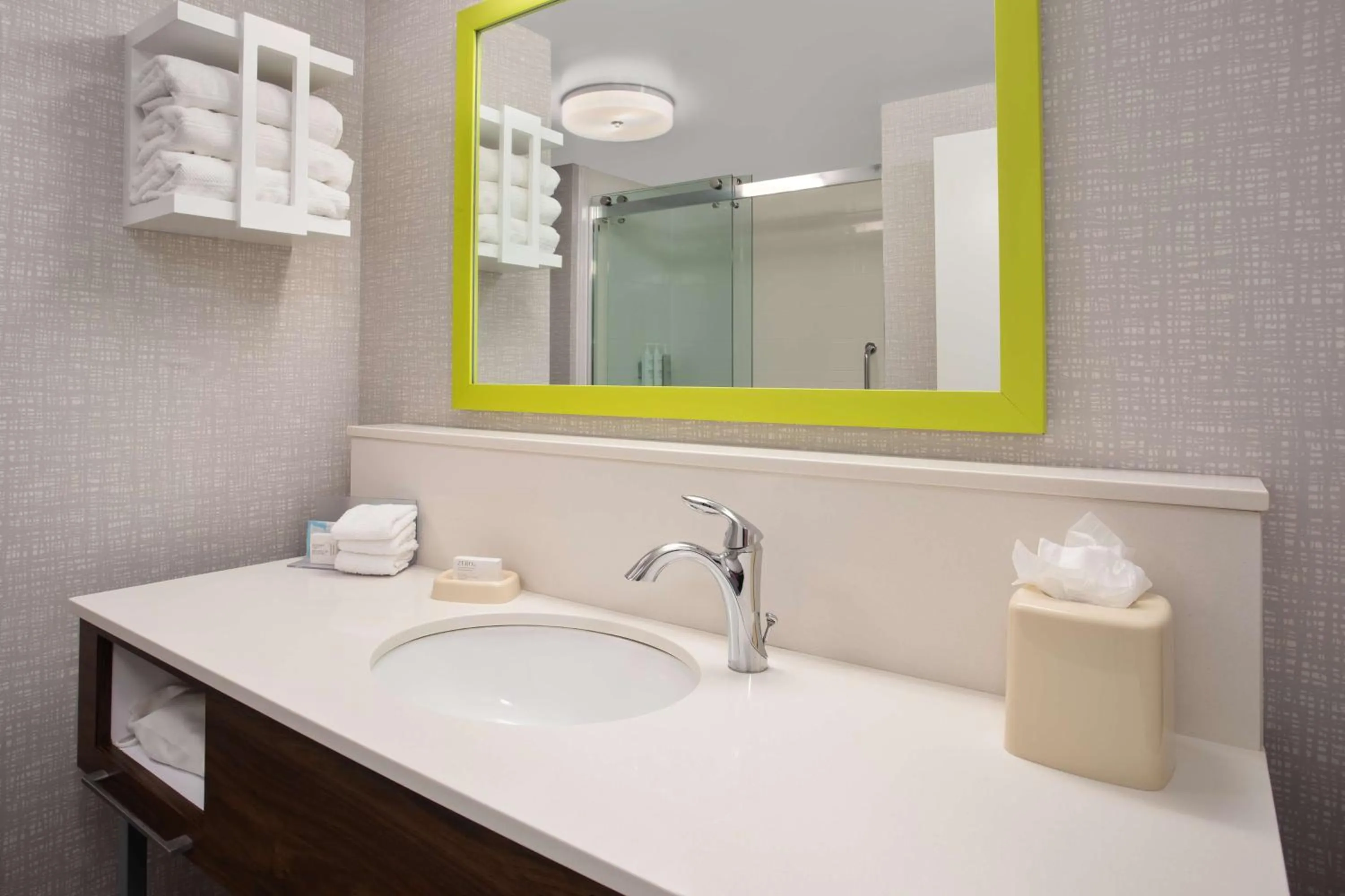 Bathroom in Hampton Inn & Suites Tampa East Casino Area