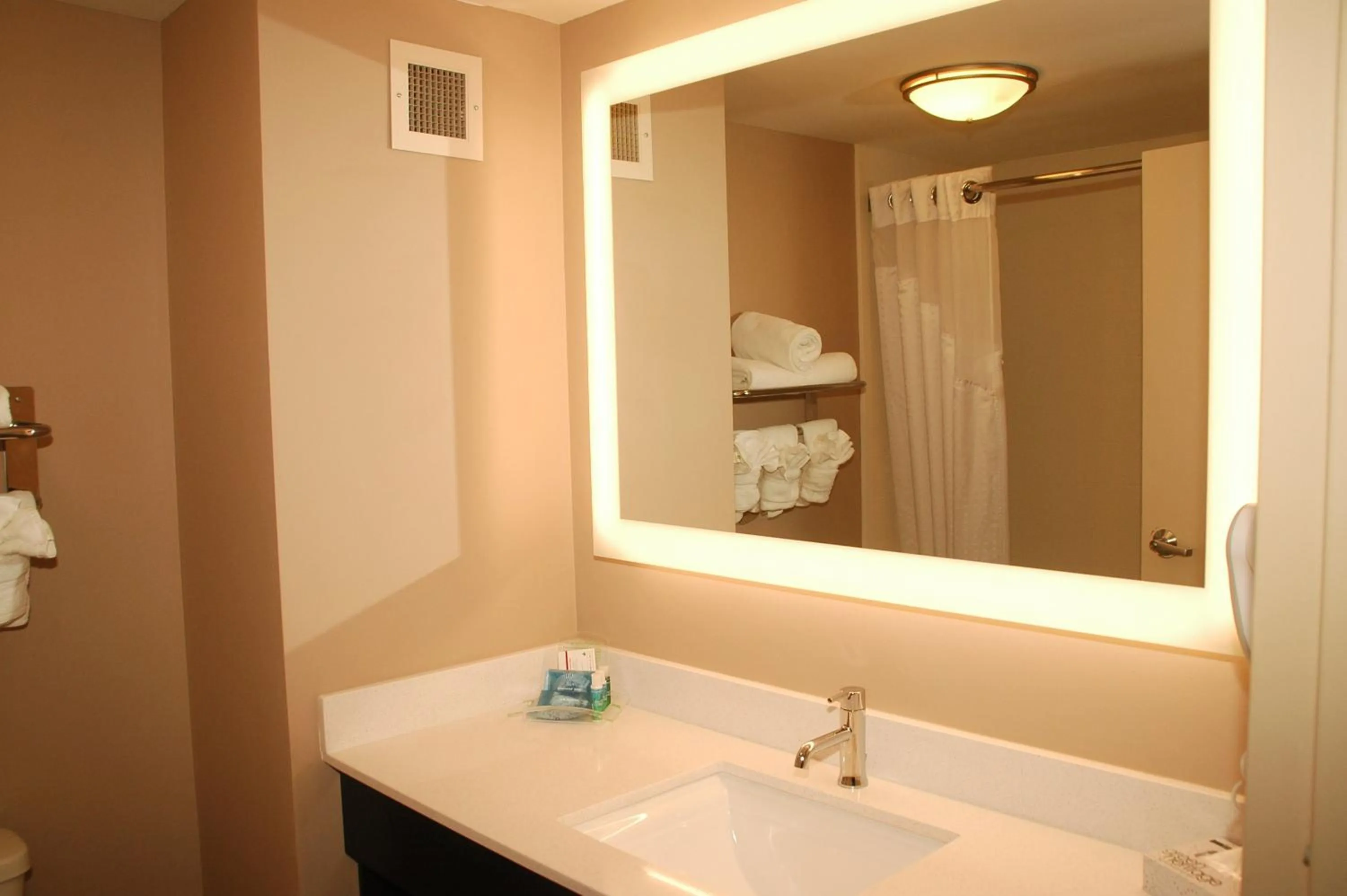 Bathroom in Holiday Inn Express Birmingham Irondale East by IHG