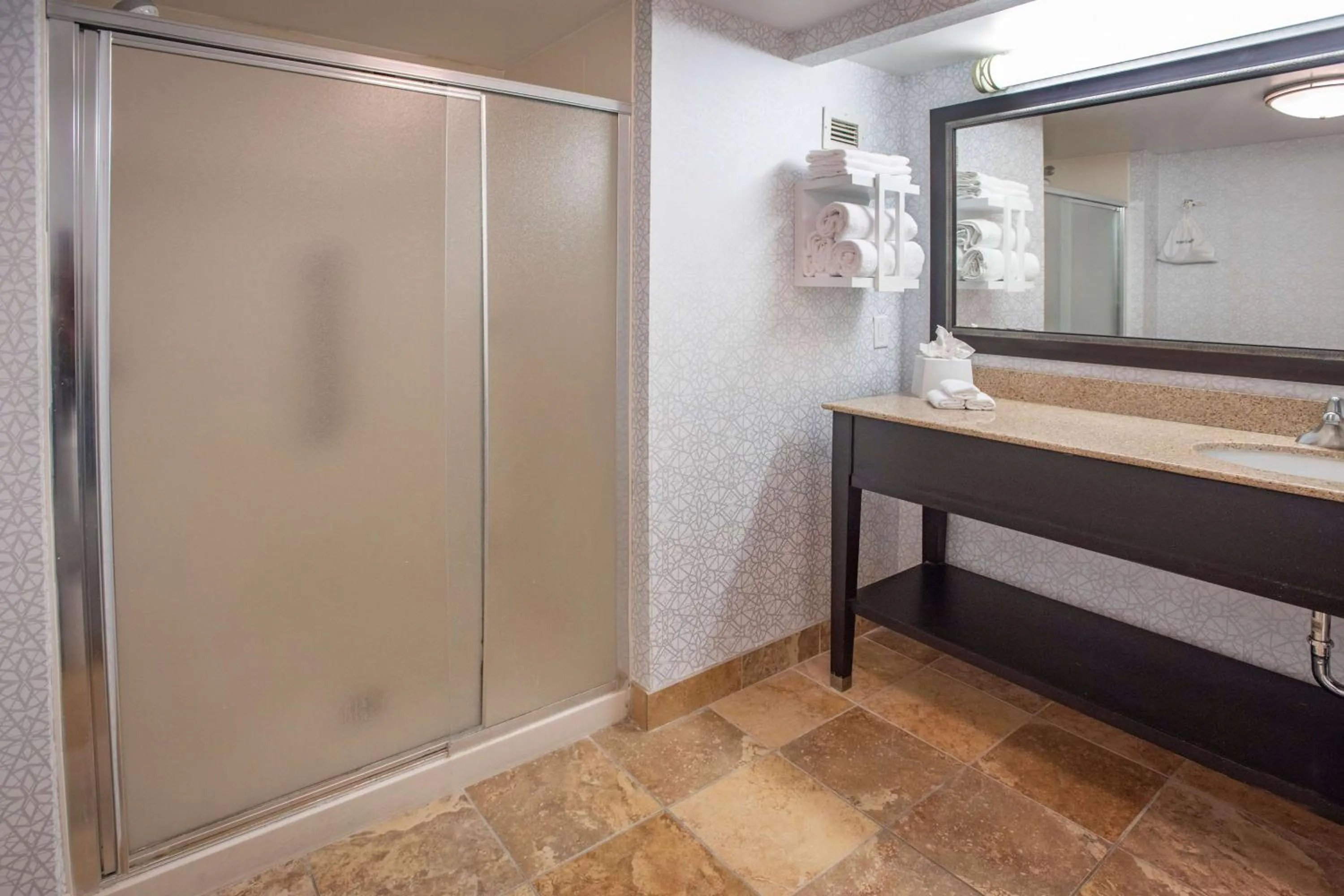 Bathroom in Hampton Inn Pensacola-Airport