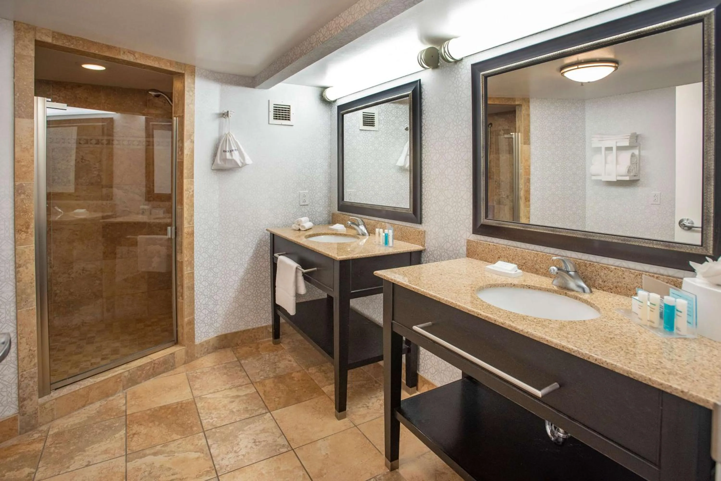 Bathroom in Hampton Inn Pensacola-Airport