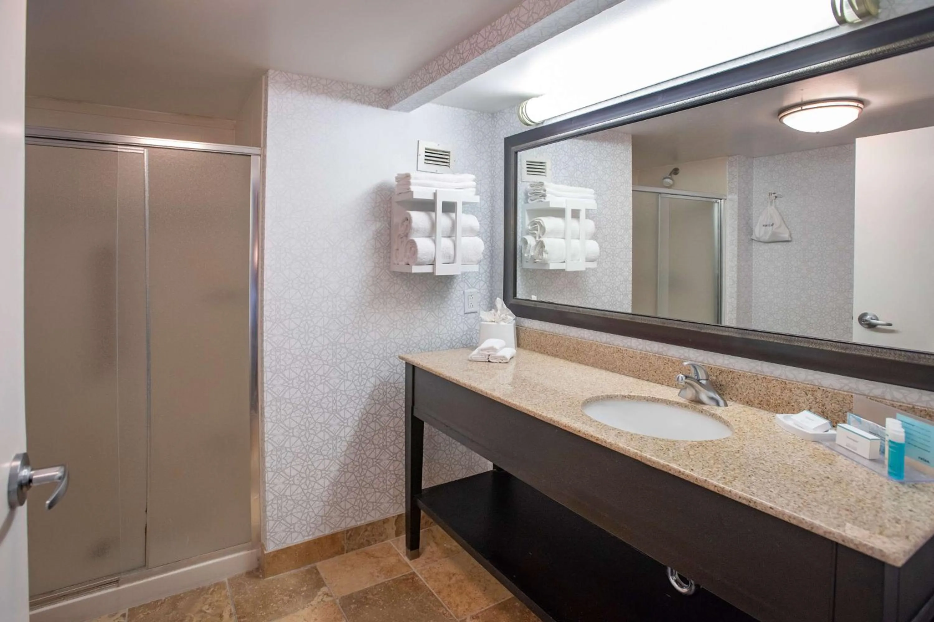 Bathroom in Hampton Inn Pensacola-Airport