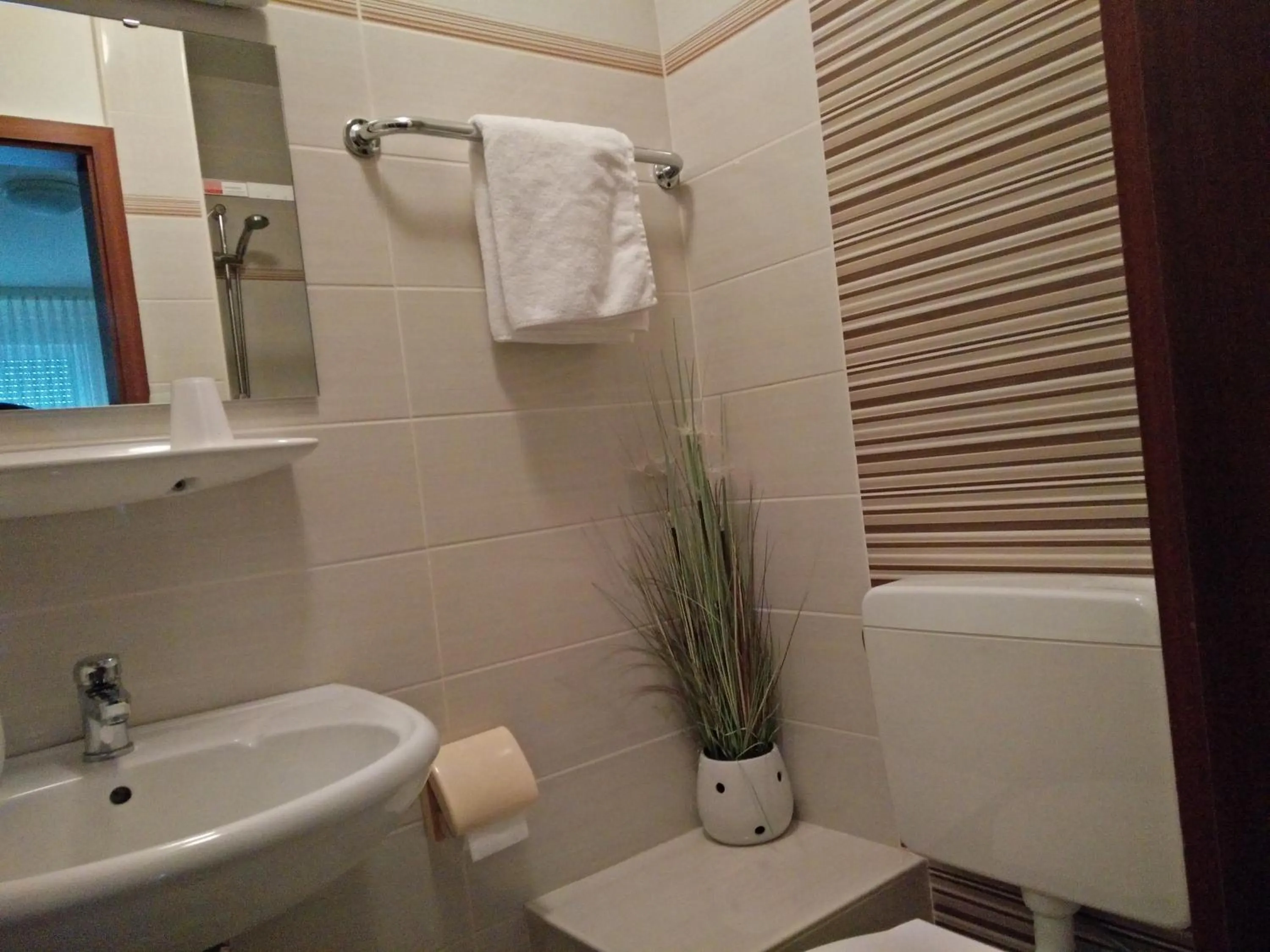 Bathroom in Hotel Alfa