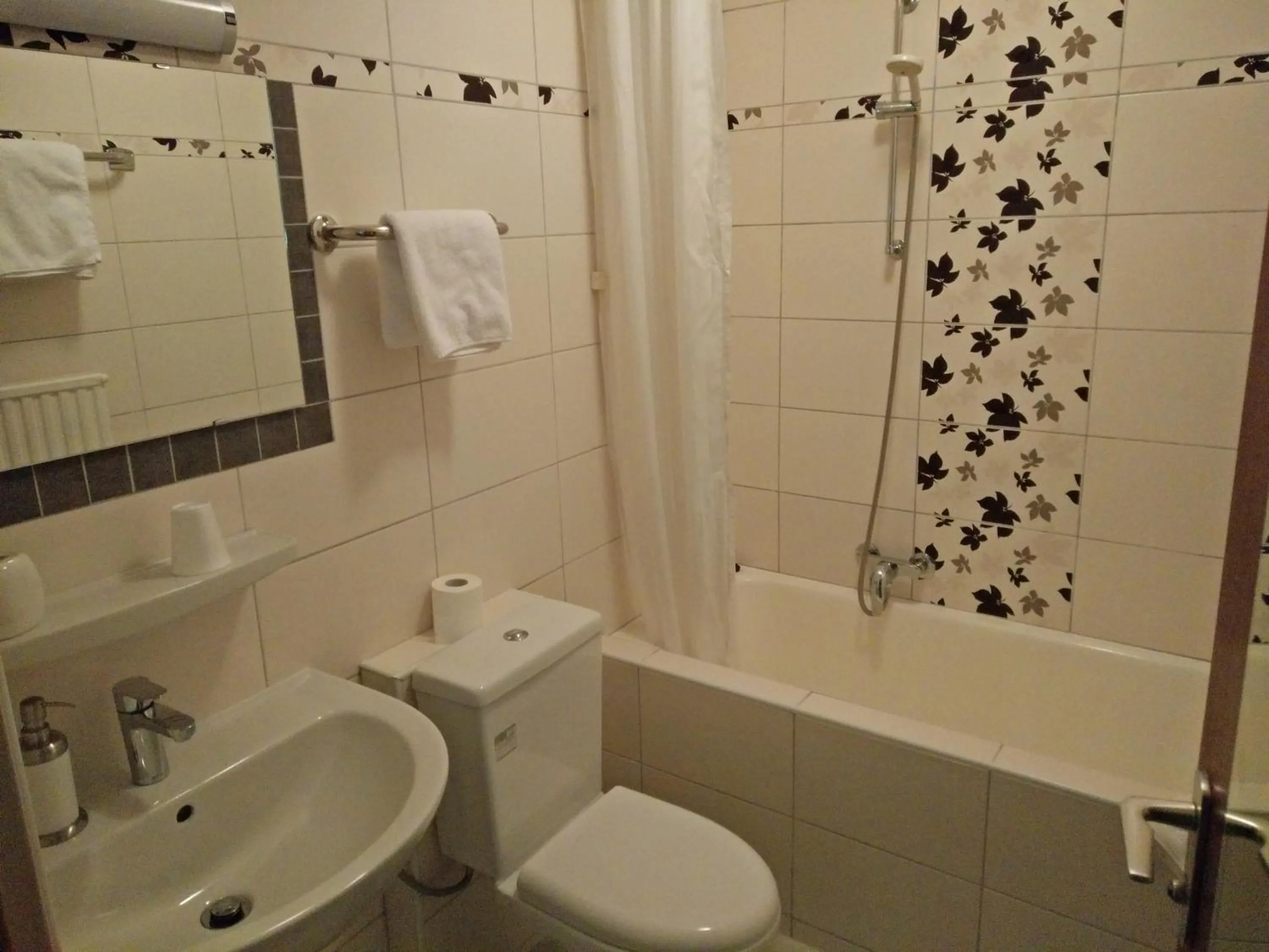 Bathroom in Hotel Alfa