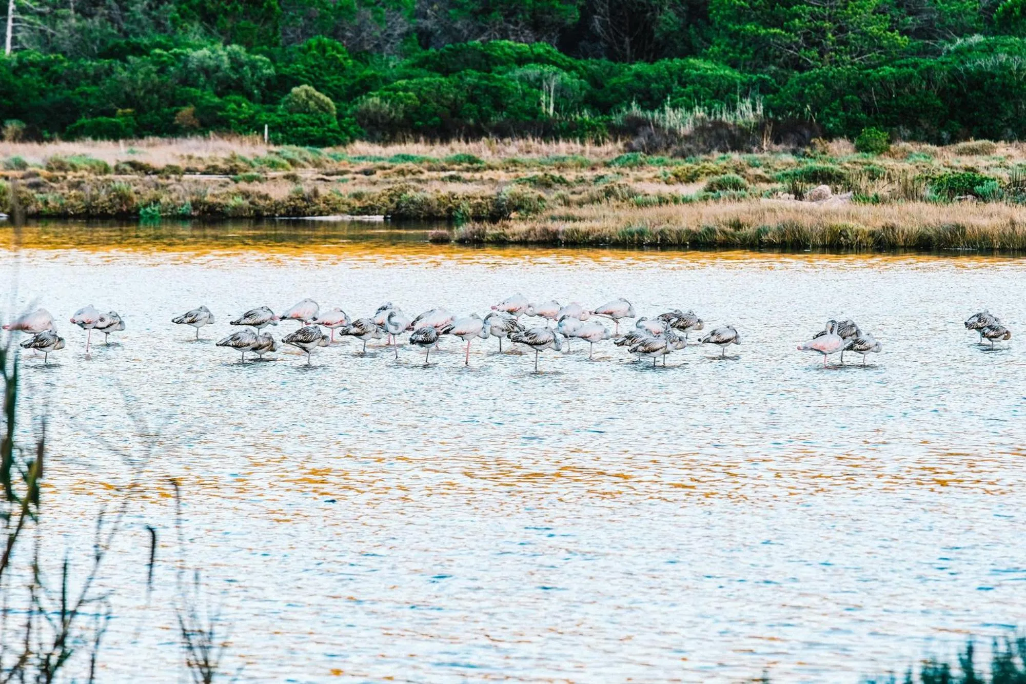 View (from property/room) in Hotel Costa Salina