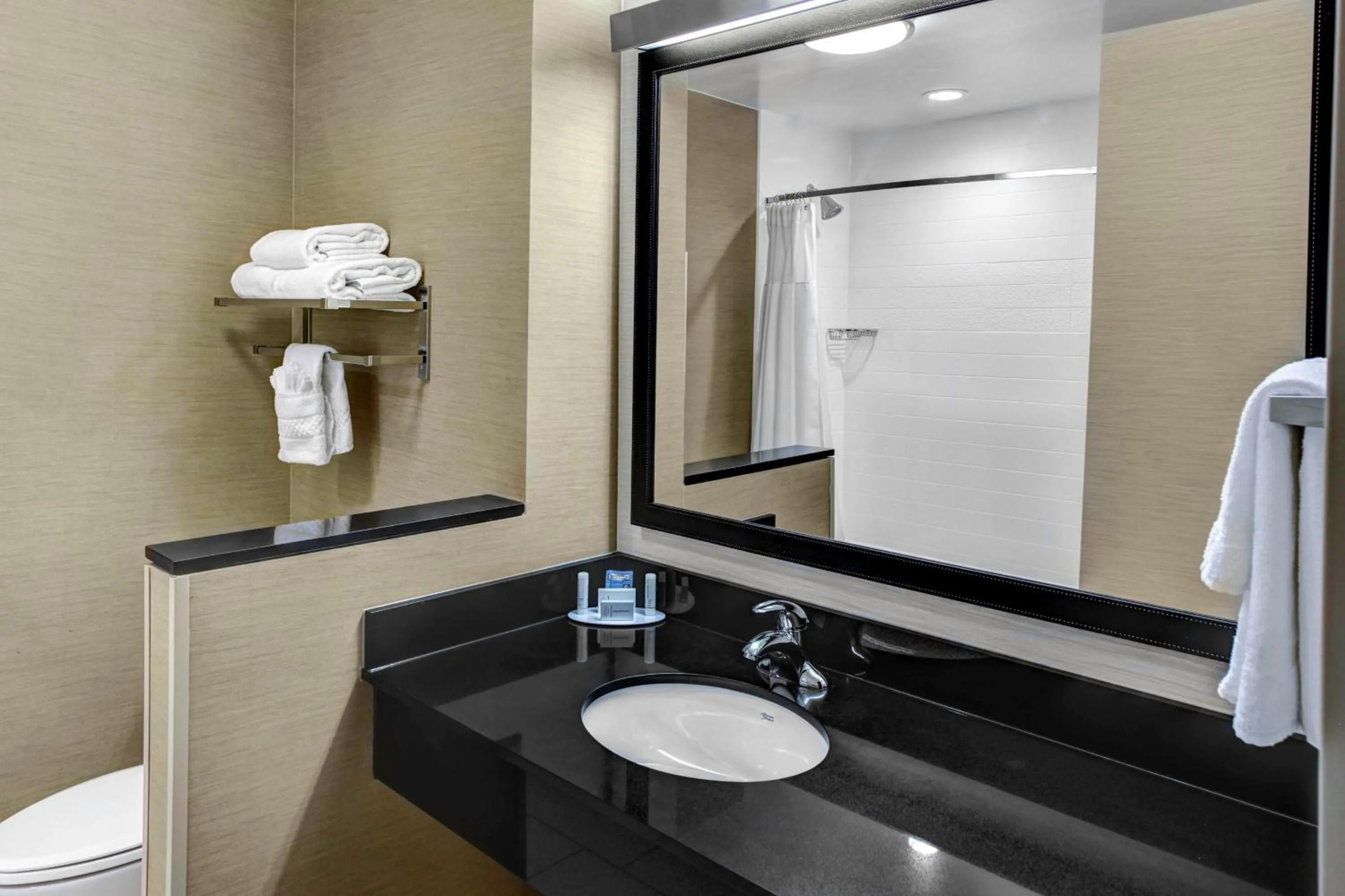 Bathroom in Fairfield Inn & Suites by Marriott Lansing at Eastwood