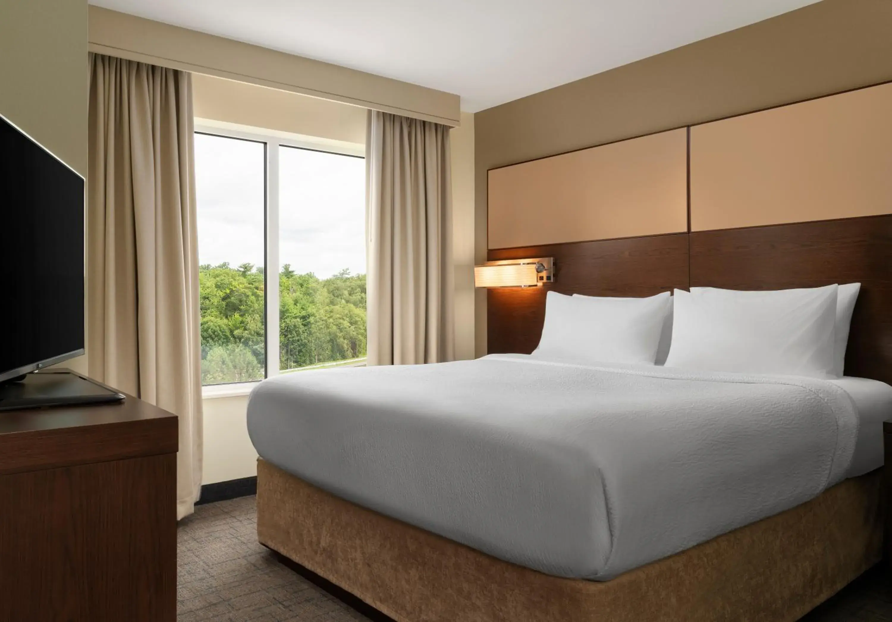 King Studio with Mountain View and Sofa Bed in Residence Inn by Marriott Kingston King Studio with Mountain View and Sofa Bed in Residence Inn by Marriott Kingston