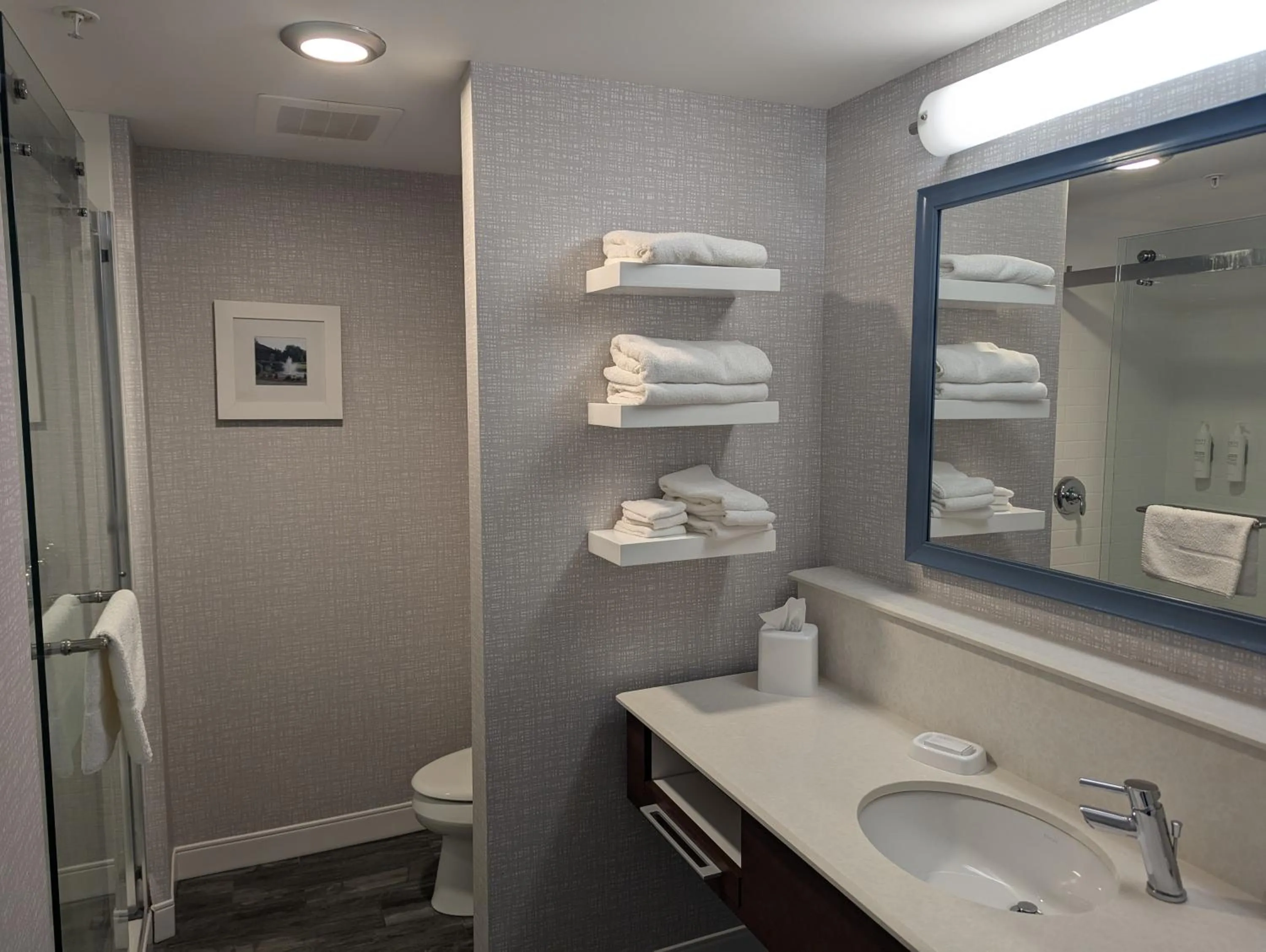 Shower in Hampton Inn & Suites Cazenovia, NY