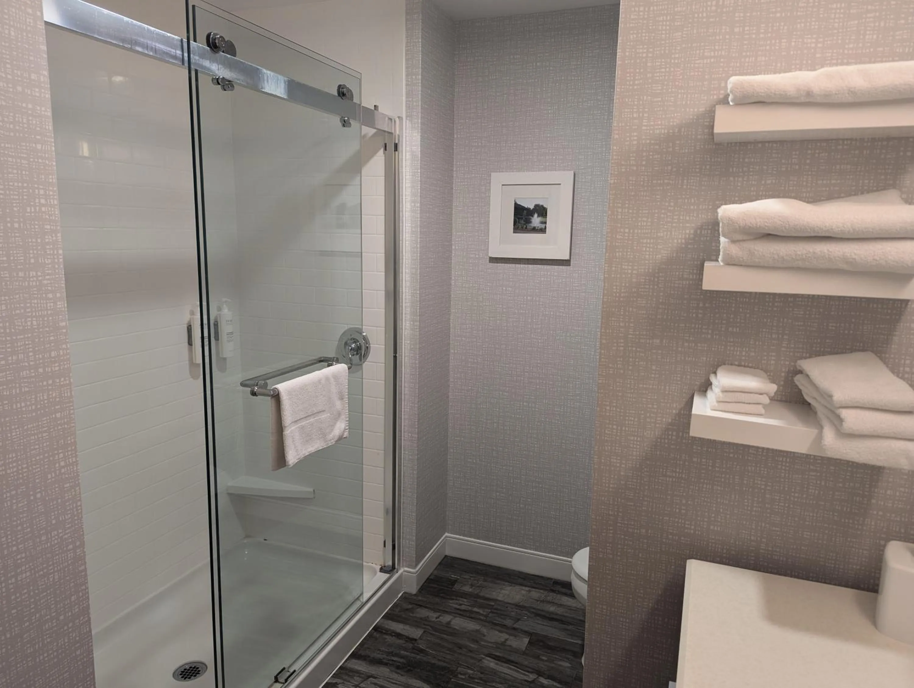 Shower in Hampton Inn & Suites Cazenovia, NY