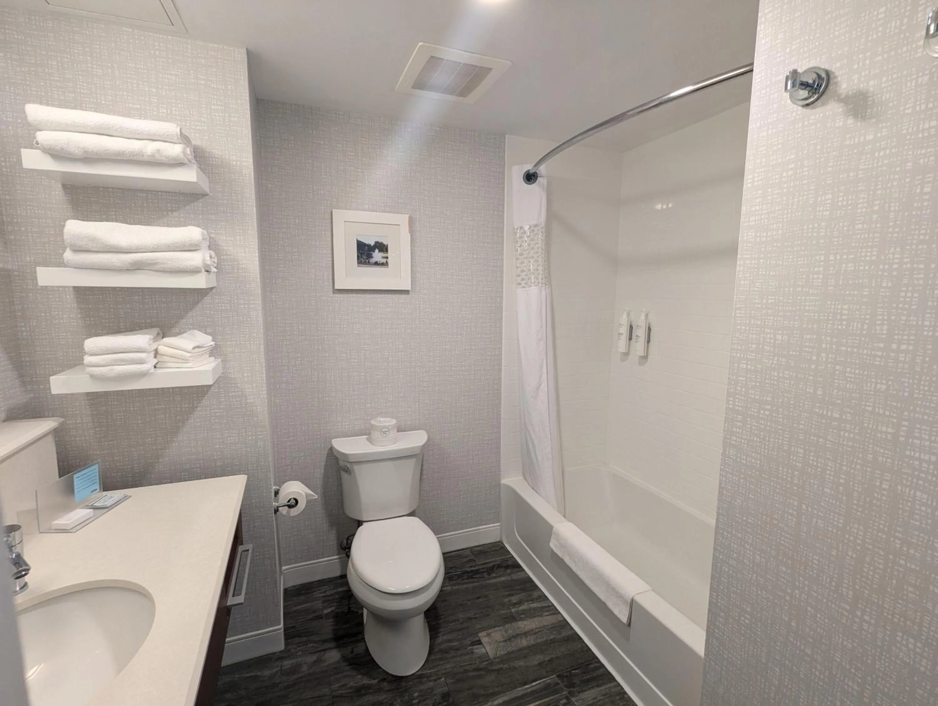 Shower in Hampton Inn & Suites Cazenovia, NY