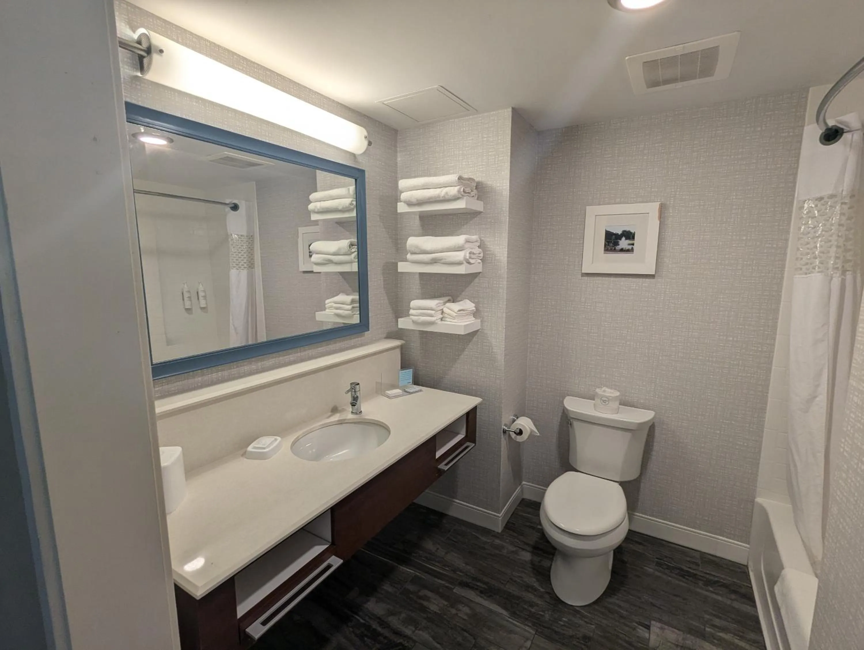 Shower in Hampton Inn & Suites Cazenovia, NY