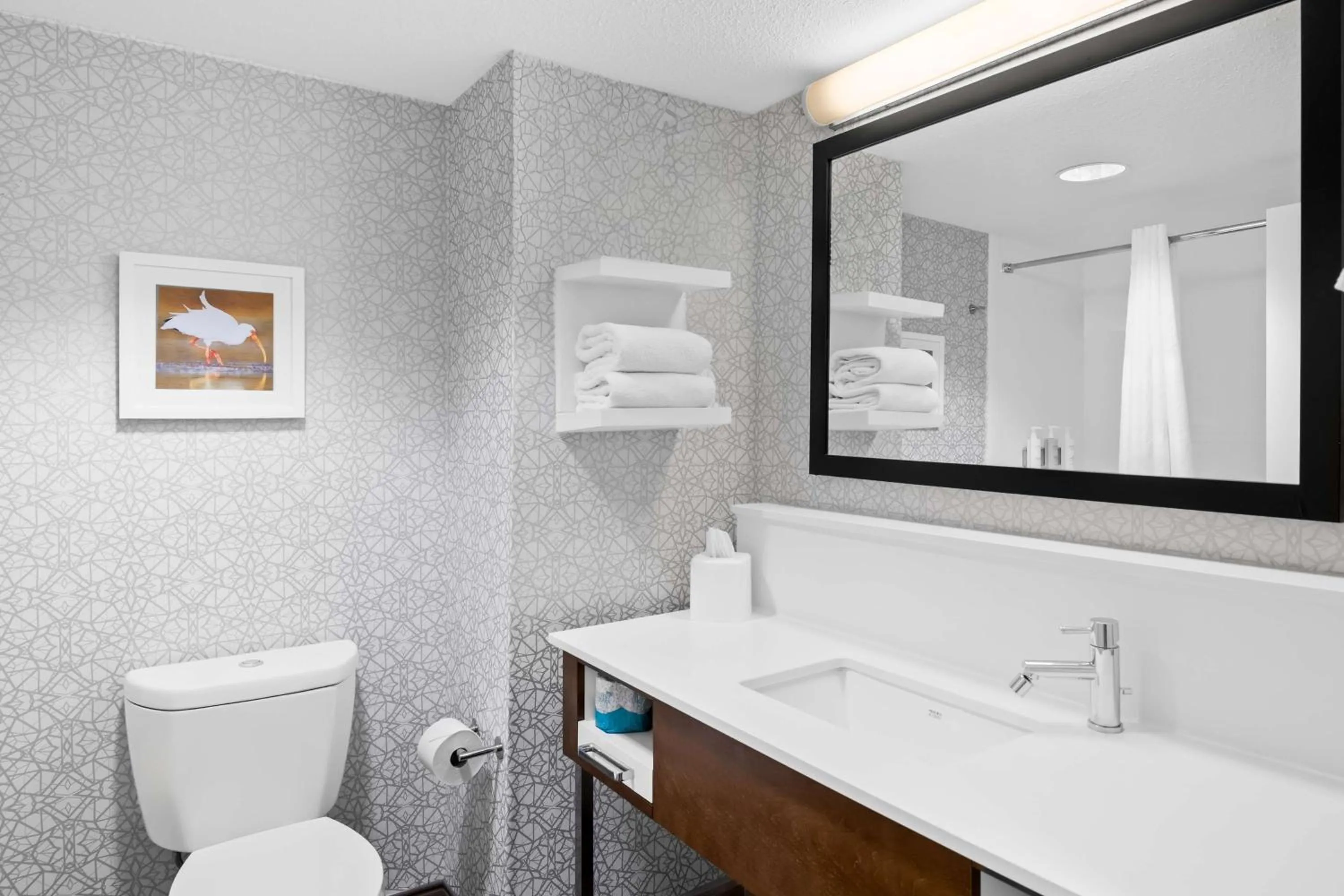 Bathroom in Hampton Inn Debary-Deltona