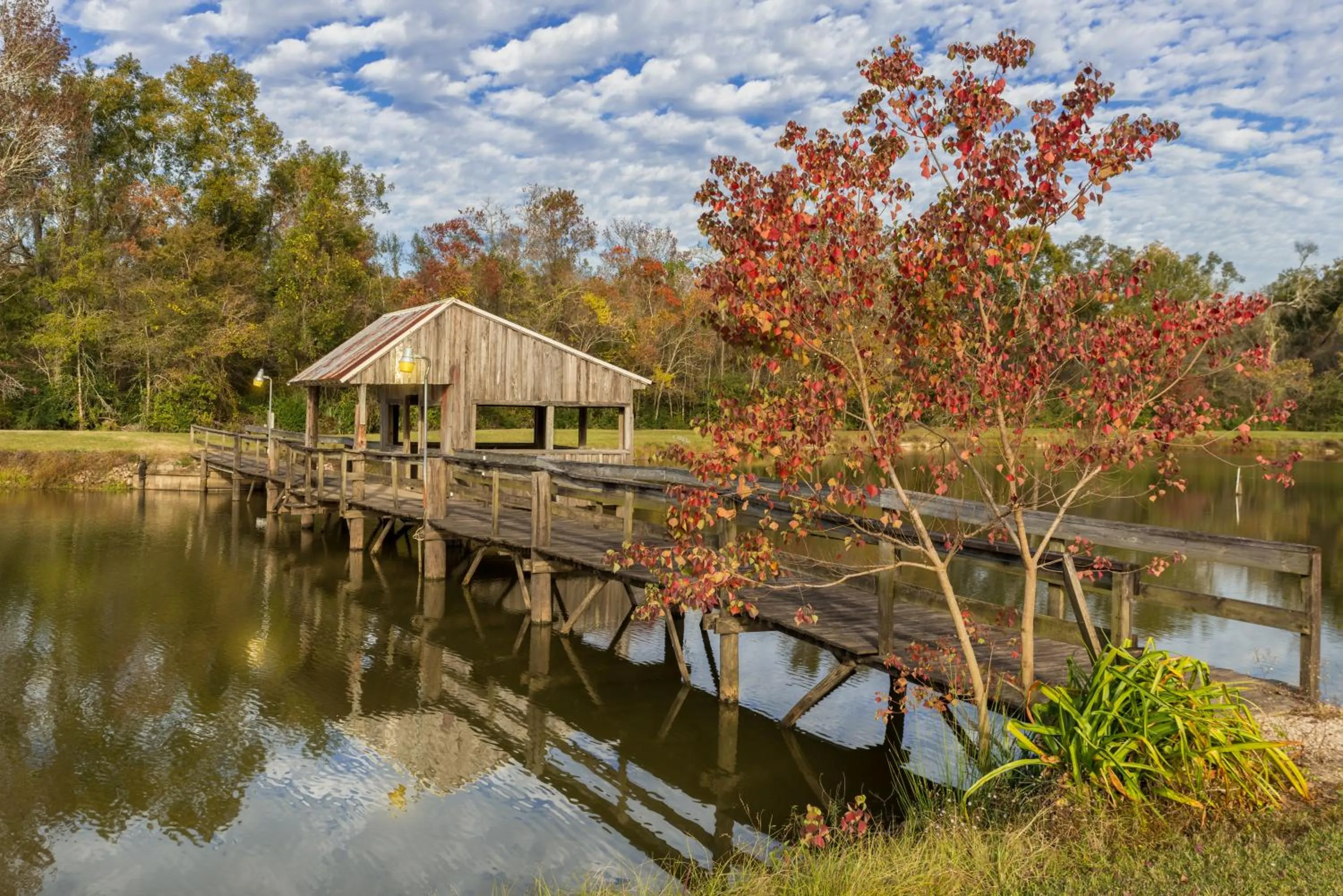 View (from property/room) in Maison D'Memoire Bed & Breakfast Cottages