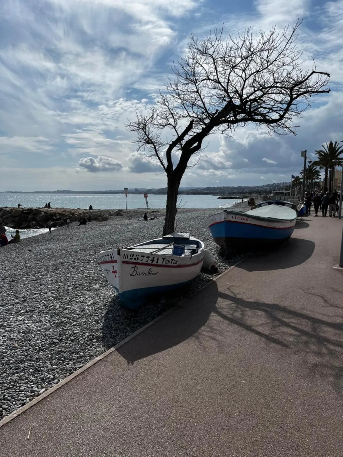 Beach in Hôtel du Bord de Mer "Le Vanillé"