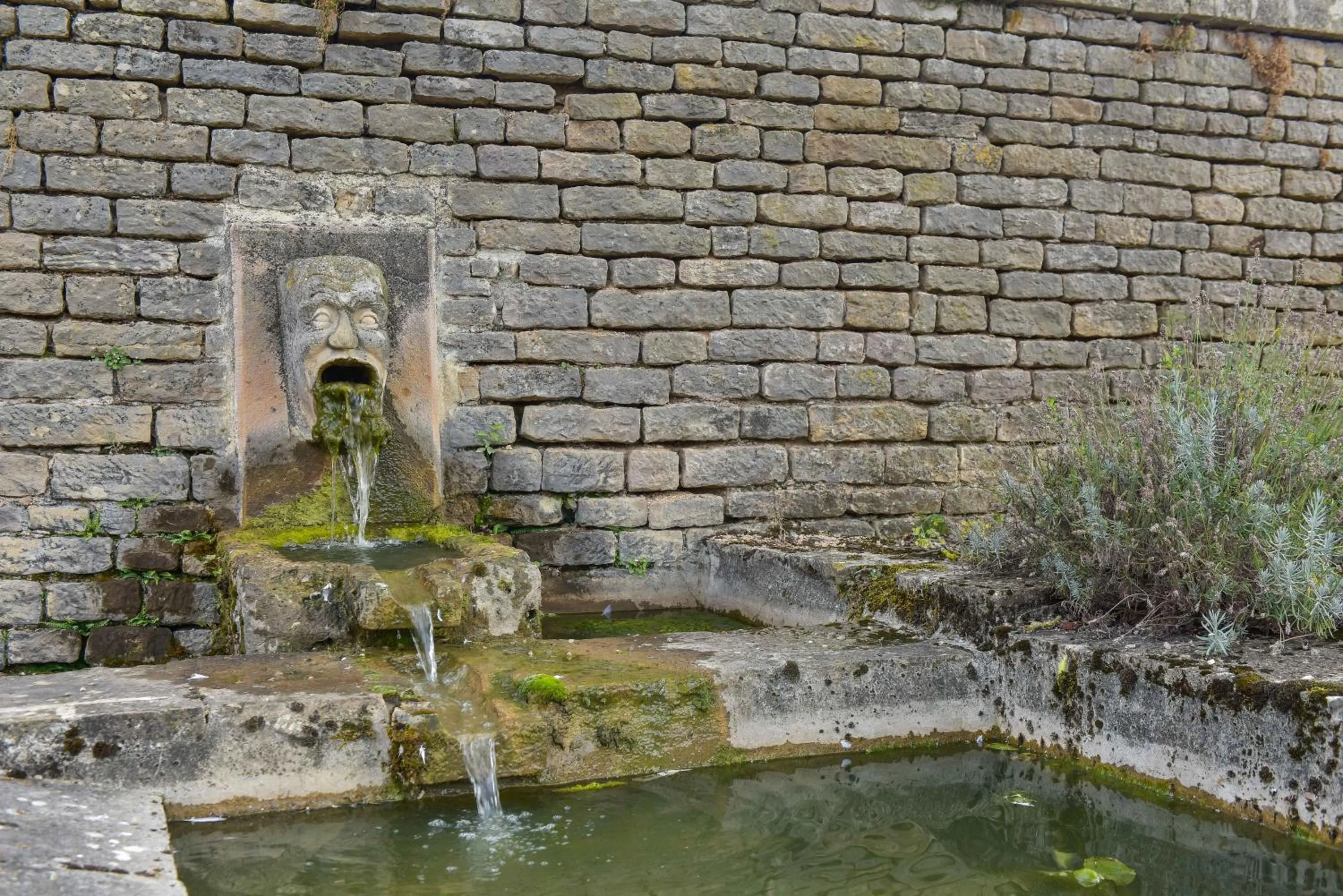 Area and facilities in Hôtel Golf Château de Chailly