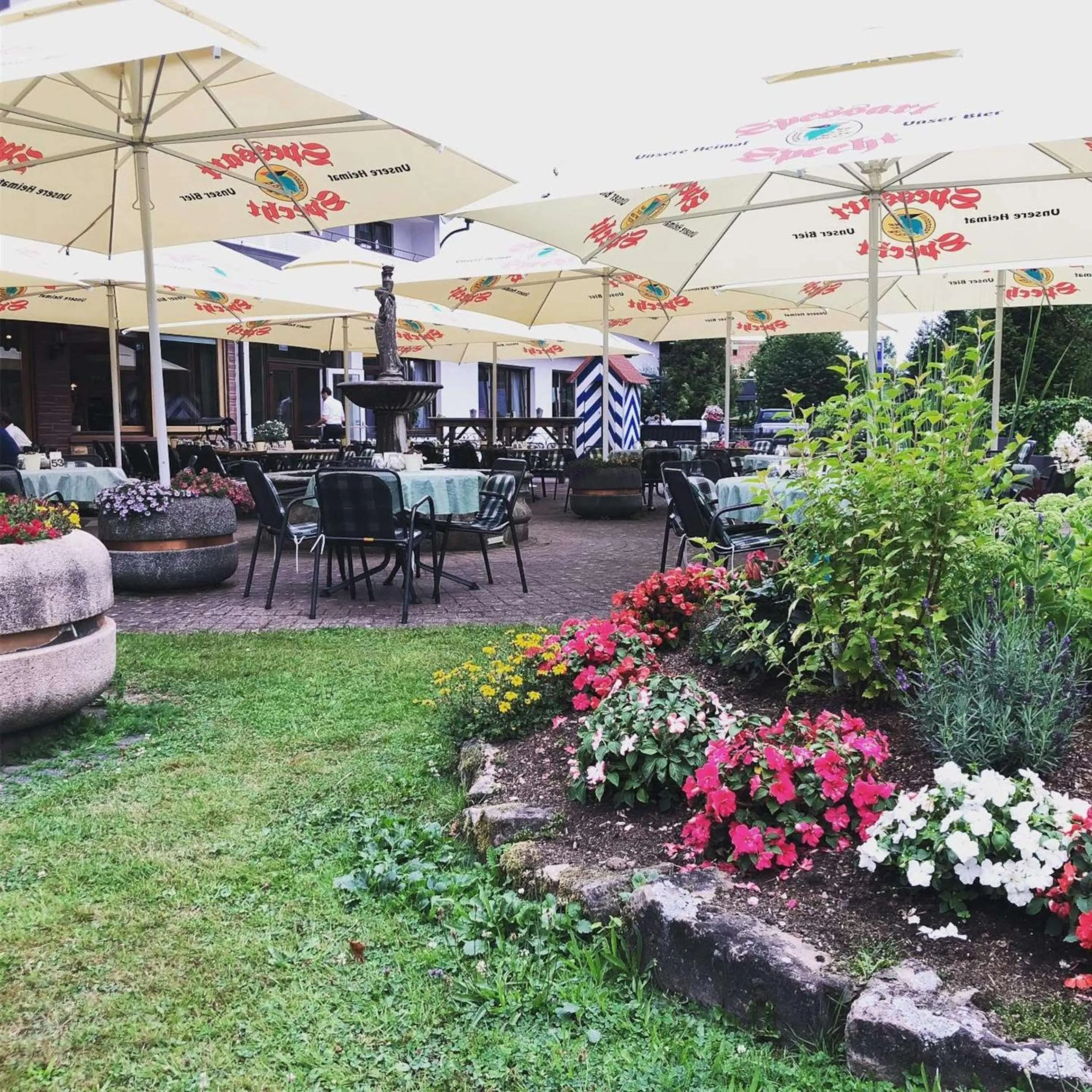 Food and drinks in Best Western Hotel Brunnenhof