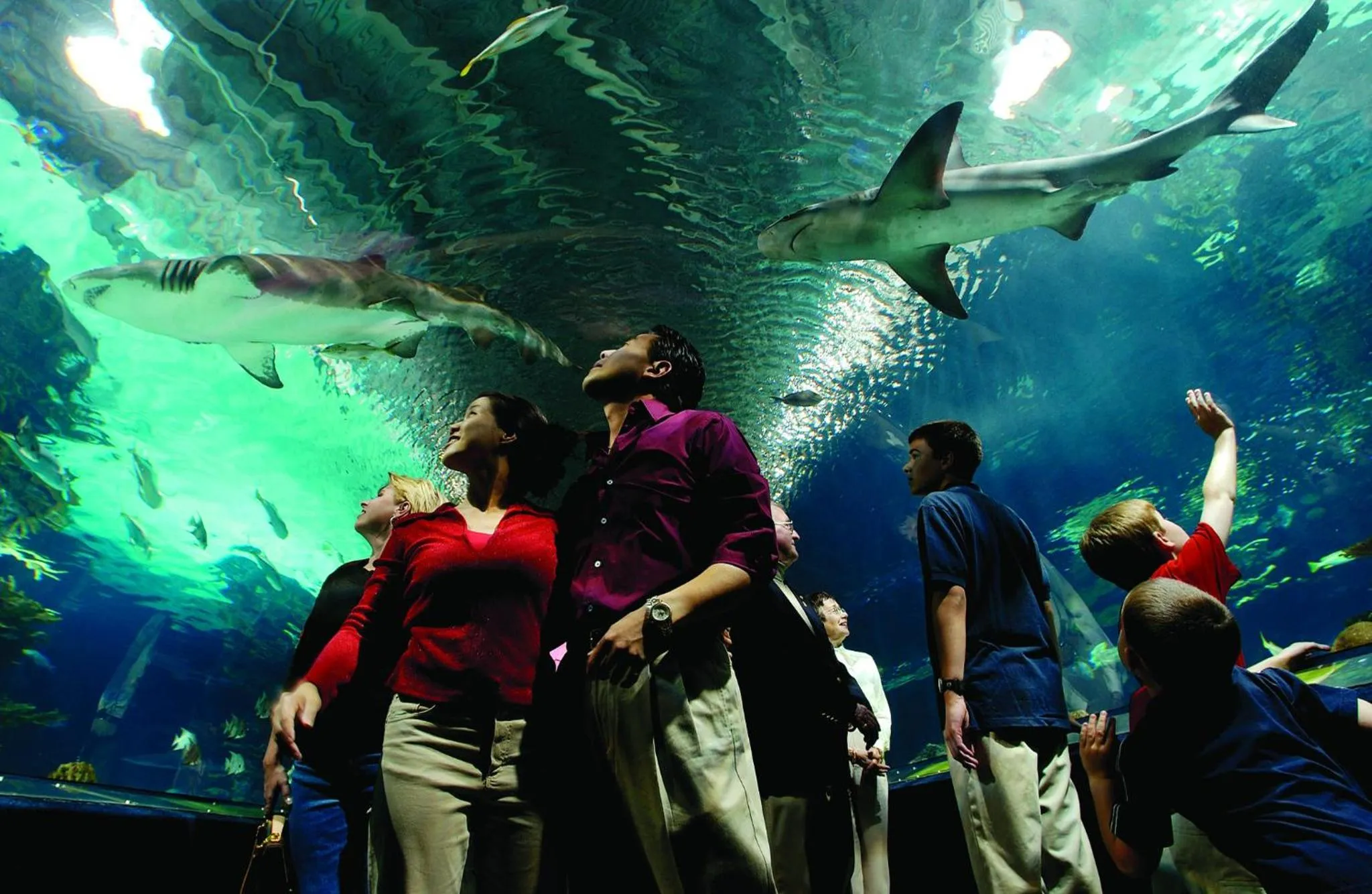 Nearby landmark in Holiday Inn Cincinnati-Riverfront by IHG