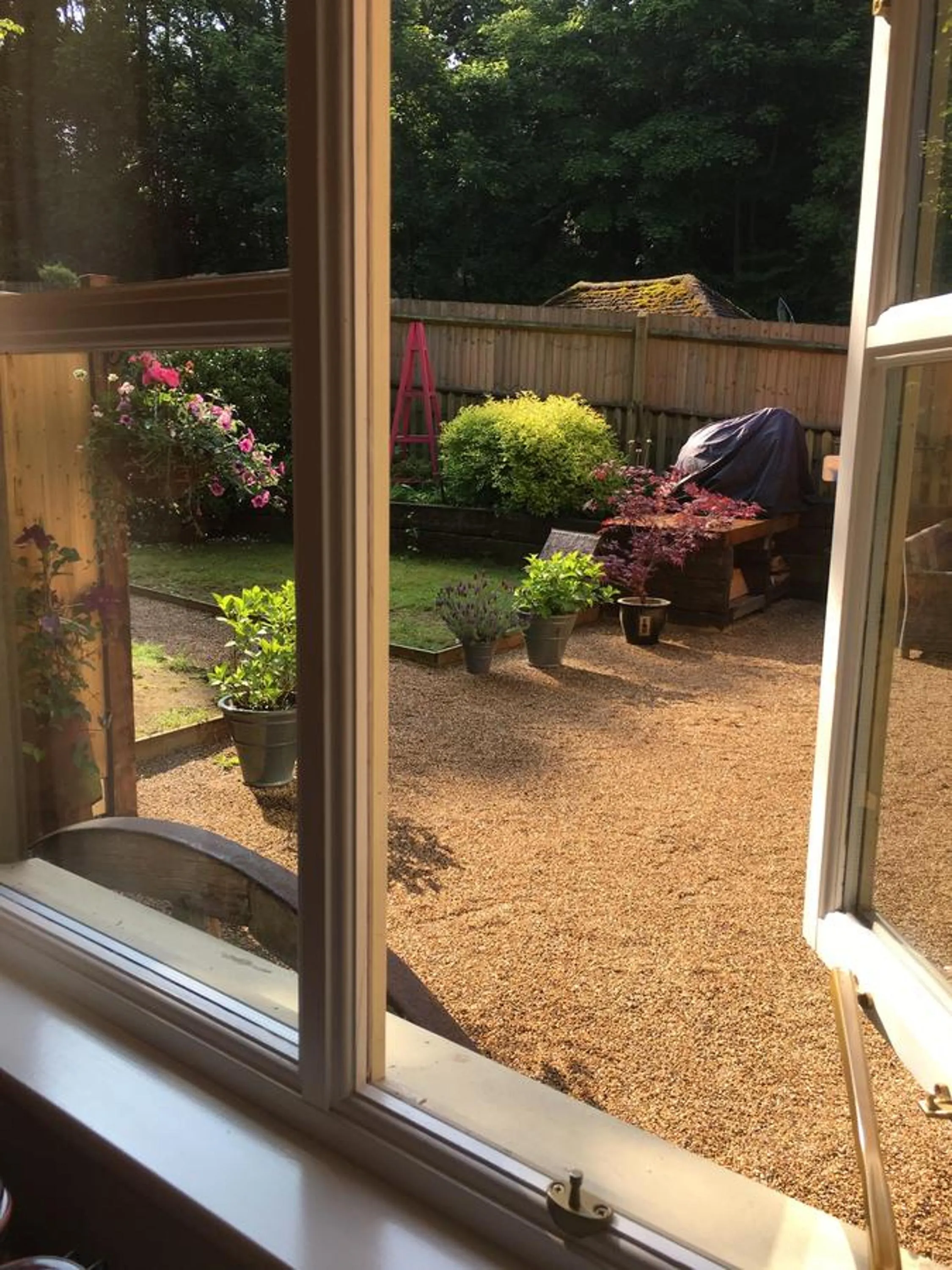 Garden view in Mays Cottage Bed and Breakfast