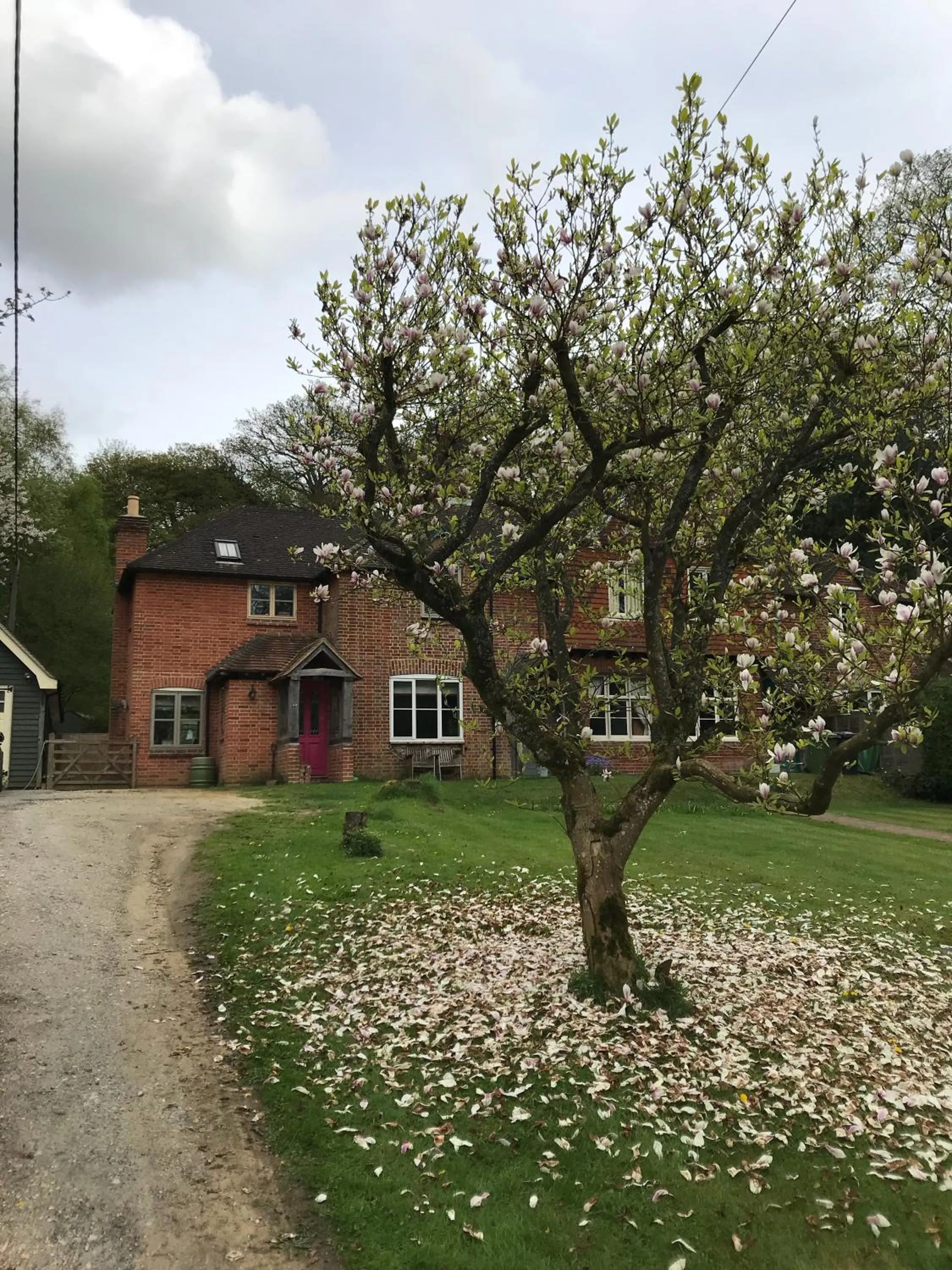 Property building in Mays Cottage Bed and Breakfast