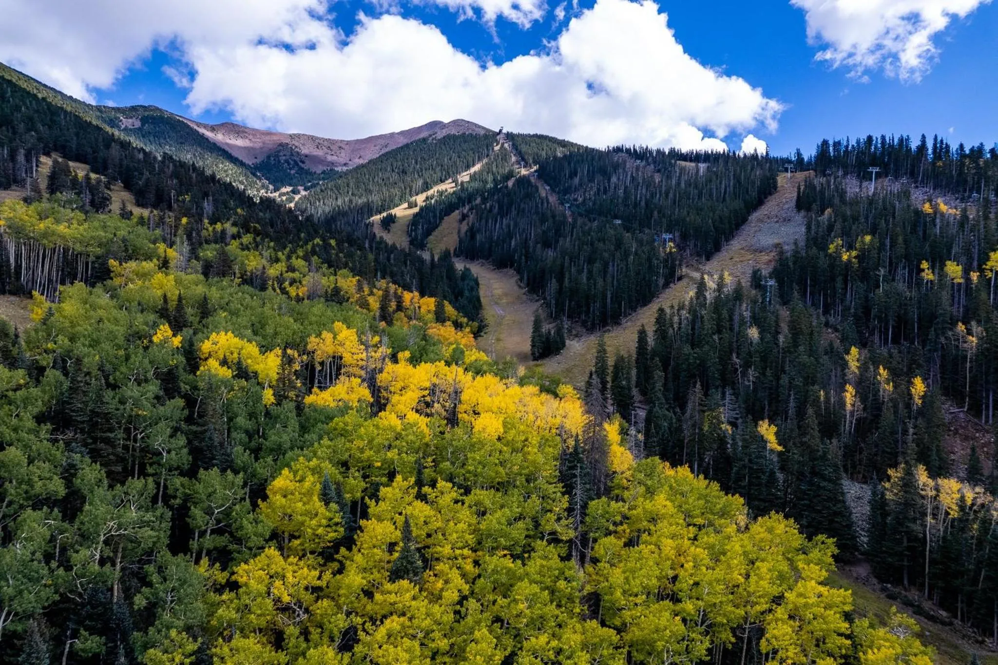 Nearby landmark in voco Flagstaff by IHG