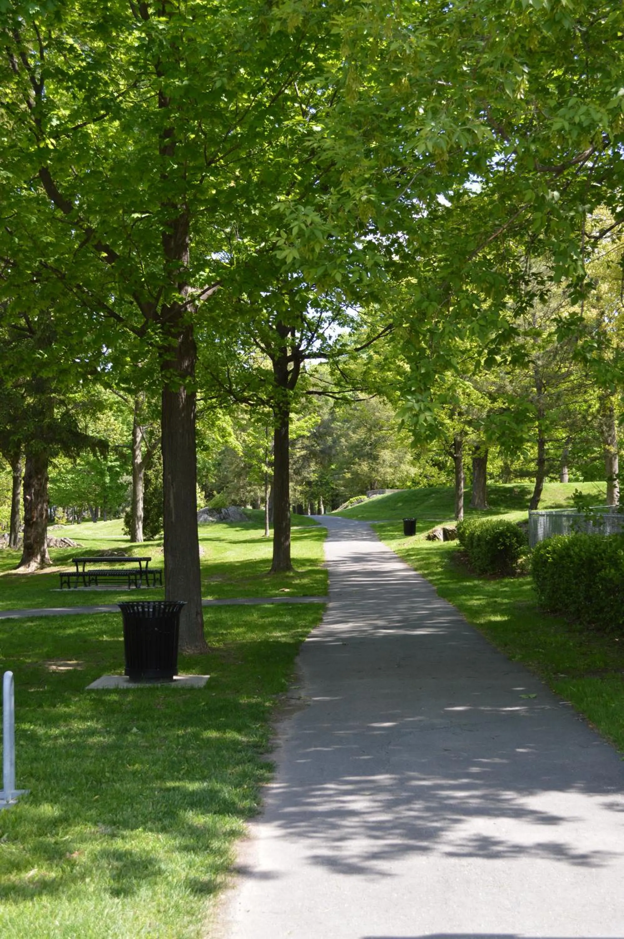 Neighbourhood, Garden in La Maison Collins B&B