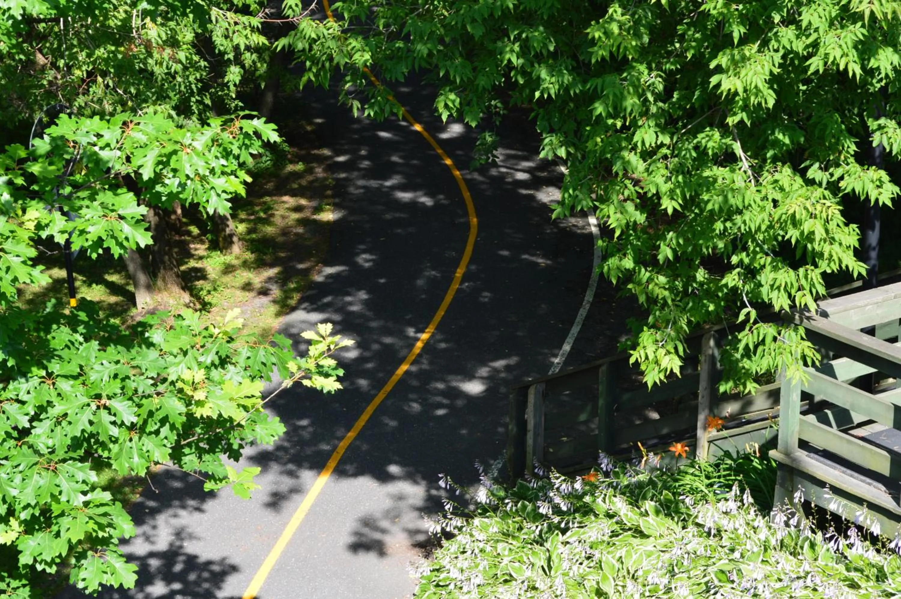 Cycling, Garden in La Maison Collins B&B