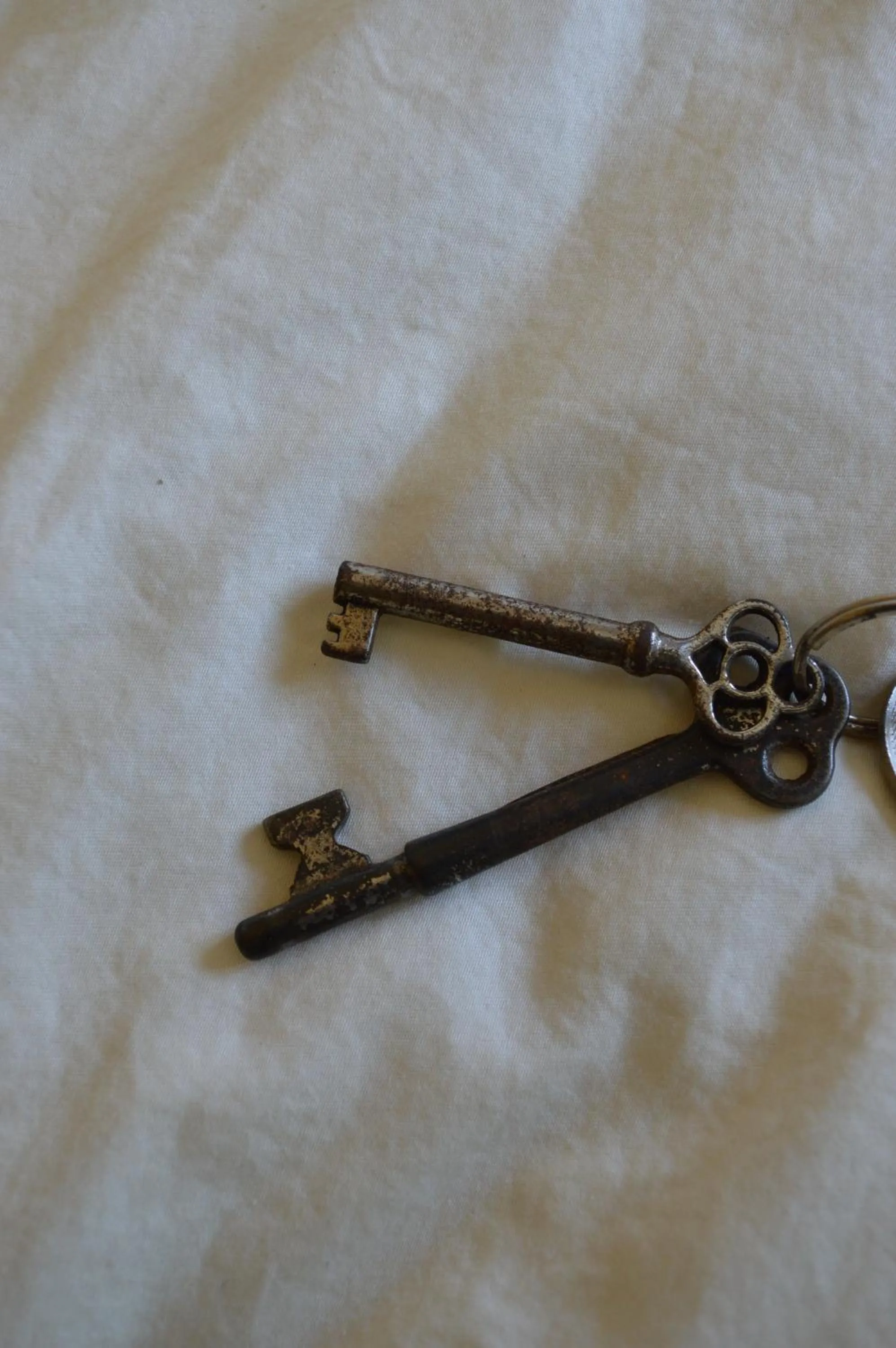 Decorative detail, Logo/Certificate/Sign/Award in La Maison Collins B&B