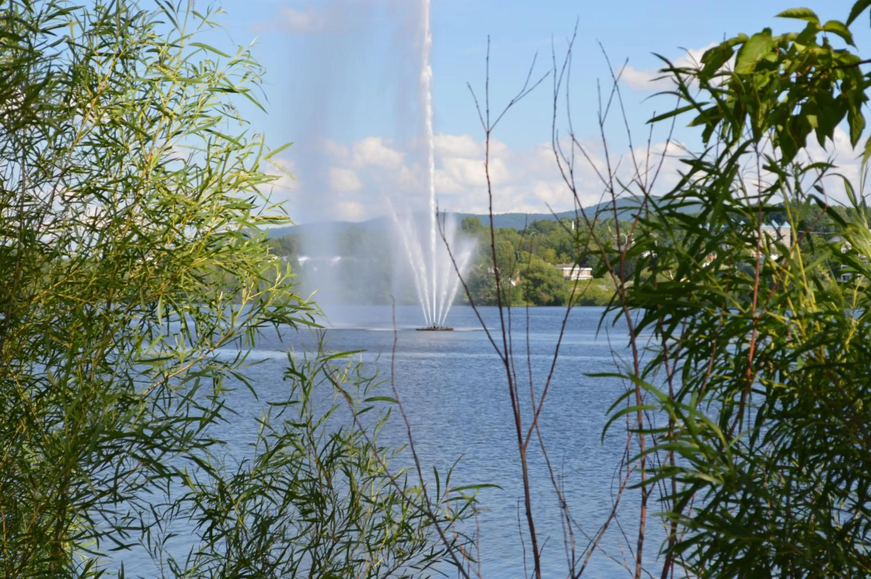 Area and facilities, Natural Landscape in La Maison Collins B&B