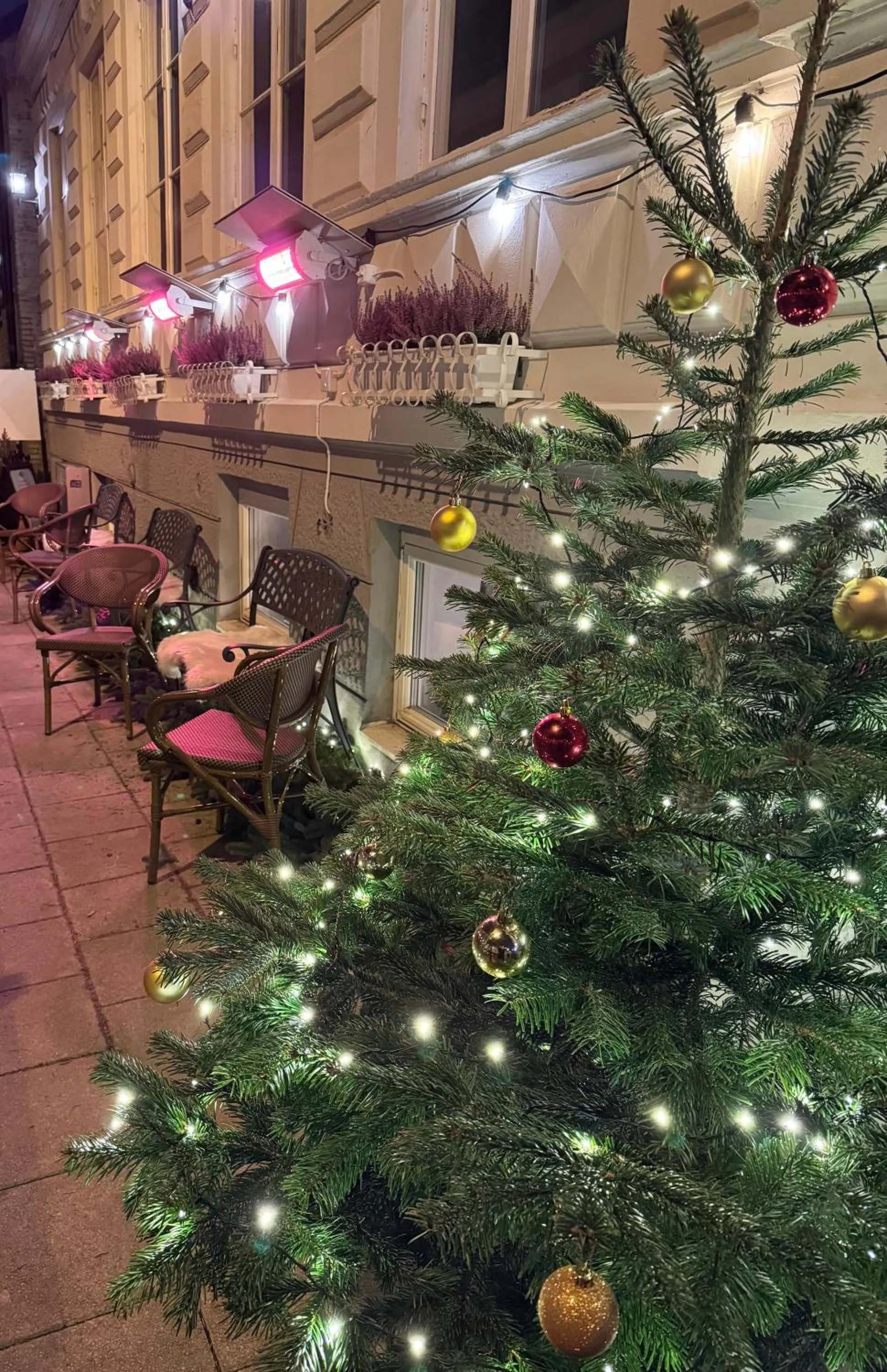 Seating area in Hotel Concordia