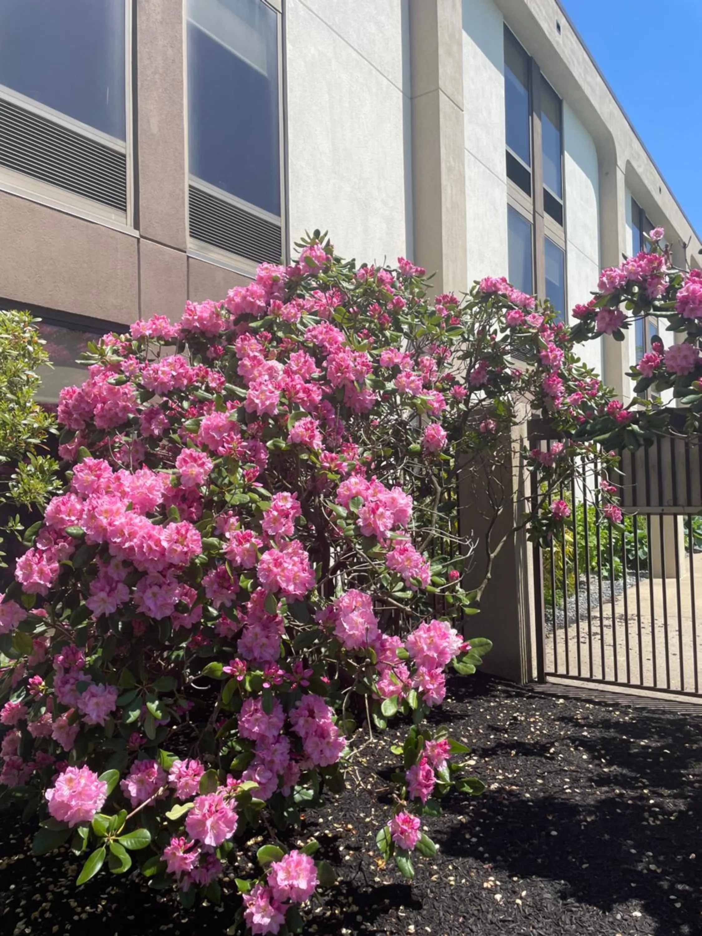 Property building in Hampton Inn New Bedford/Fairhaven