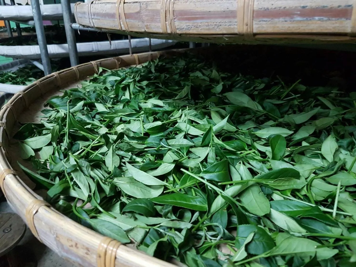 Property building in Ming Yang B&B