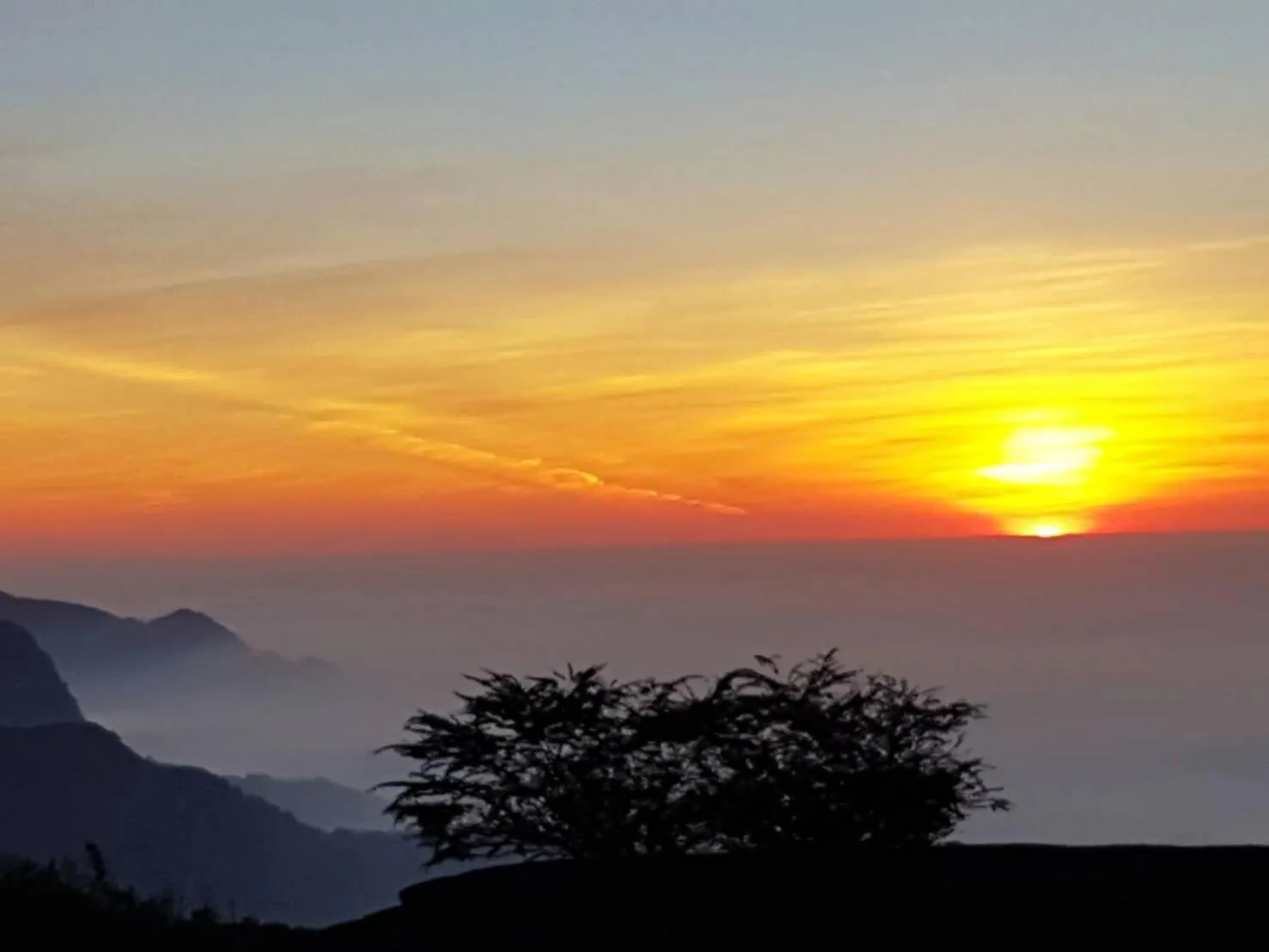 View (from property/room) in Ming Yang B&B