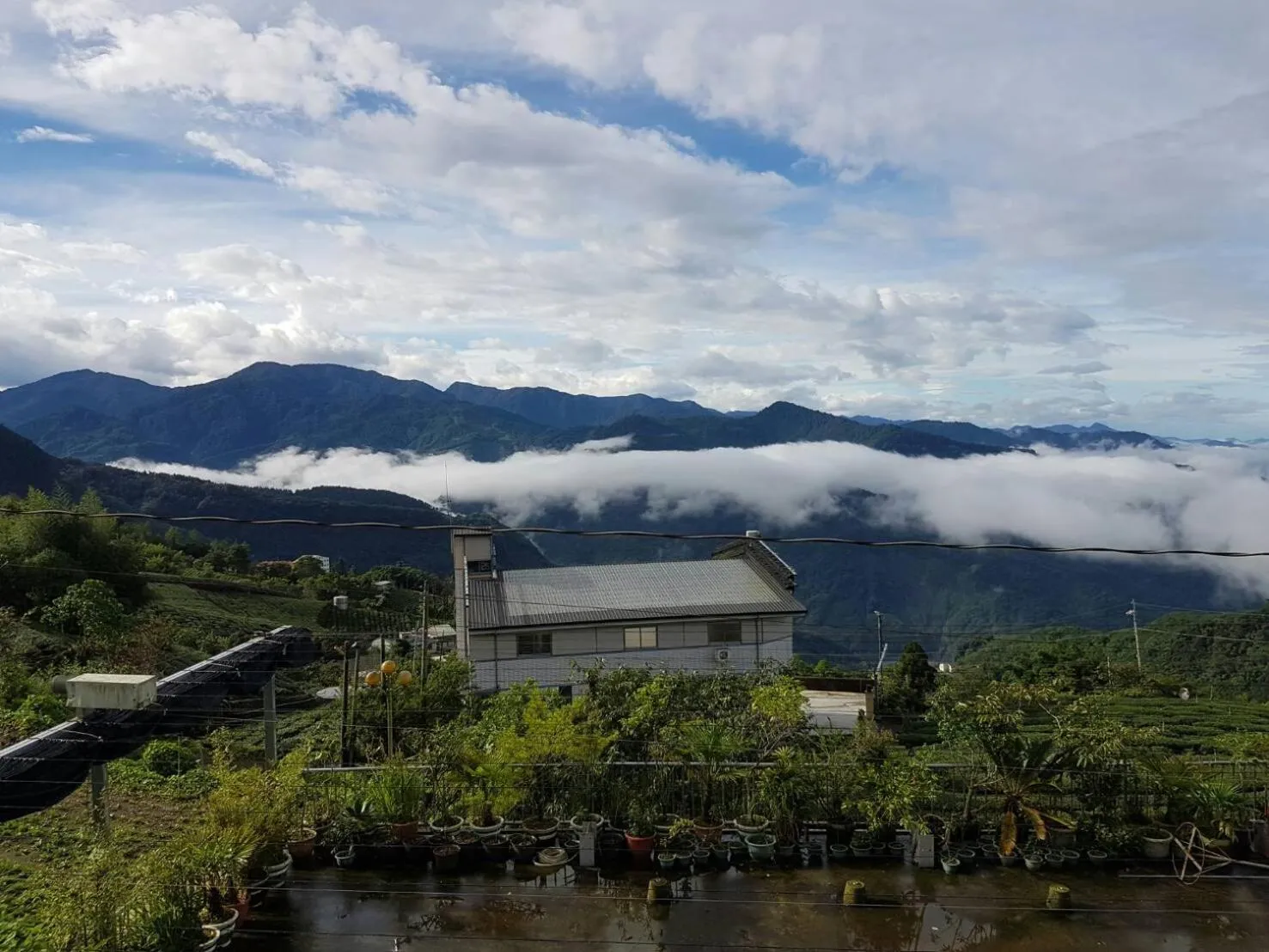 View (from property/room) in Ming Yang B&B