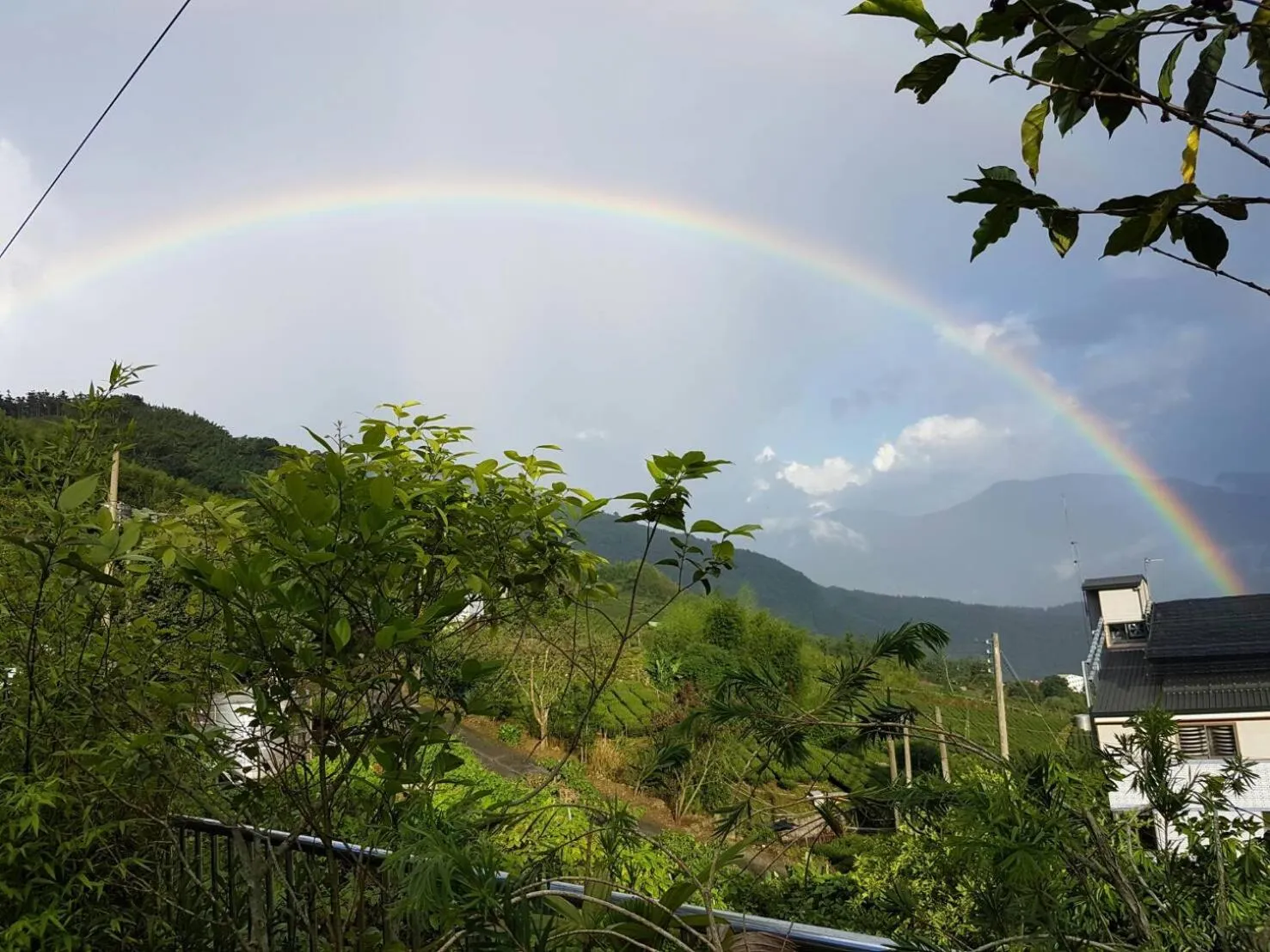 Property building in Ming Yang B&B