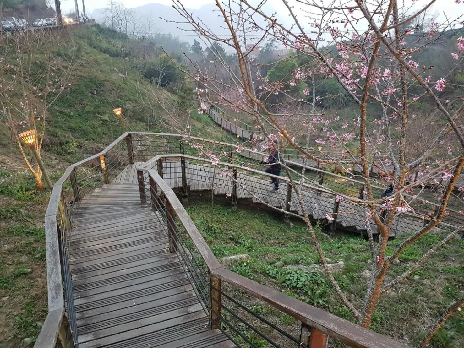 Spring in Ming Yang B&B