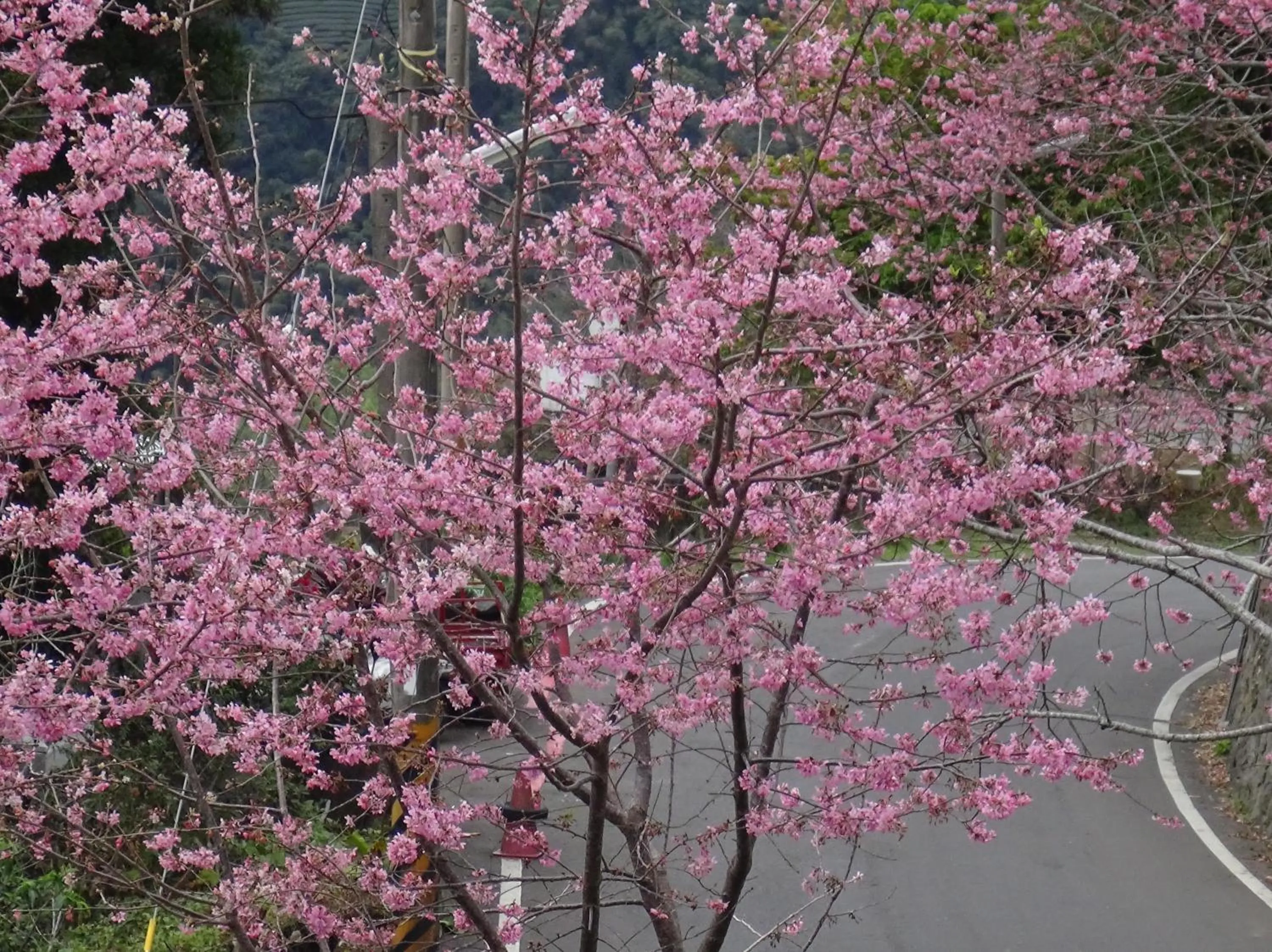 Property building in Ming Yang B&B