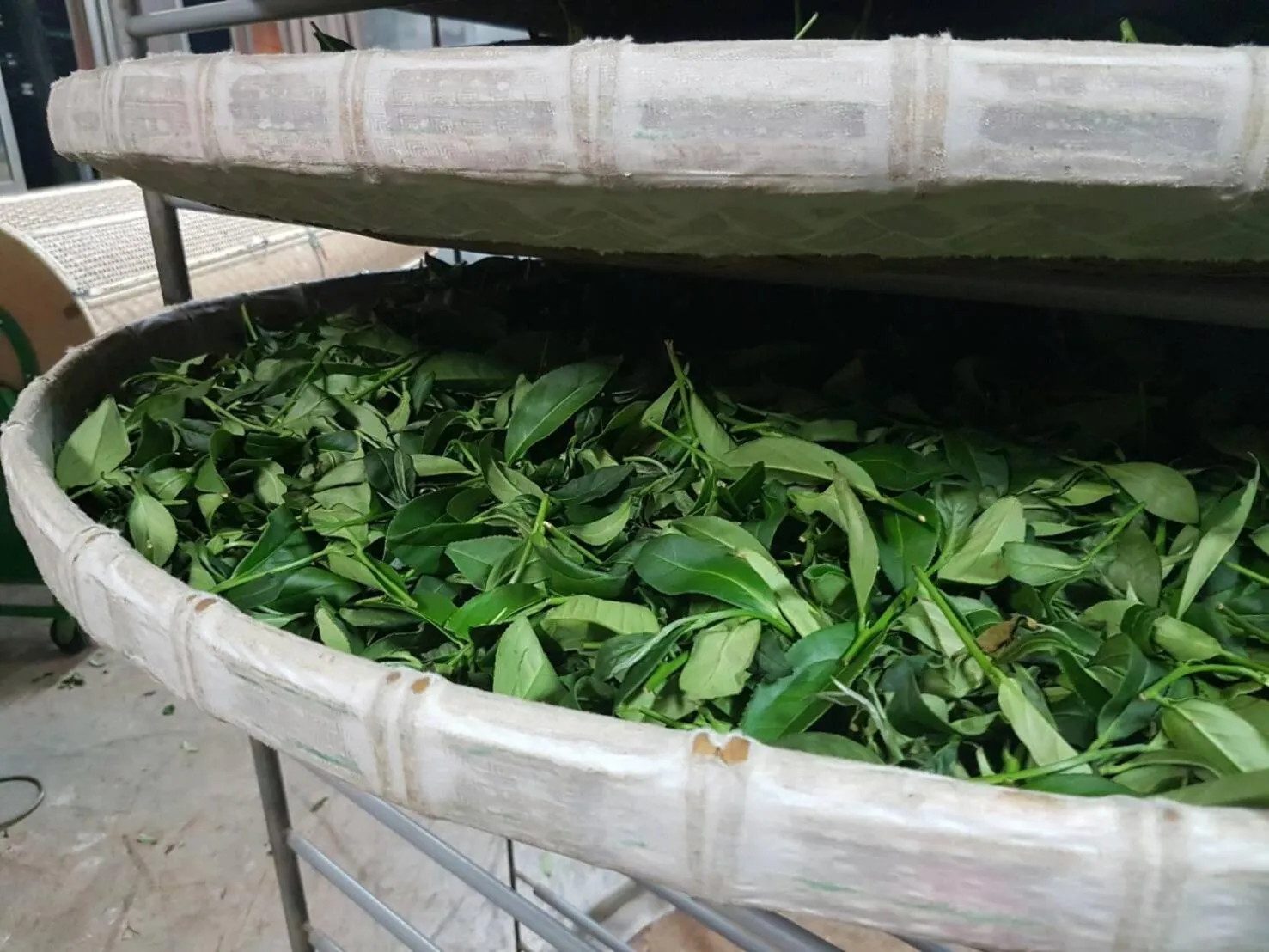 Property building in Ming Yang B&B