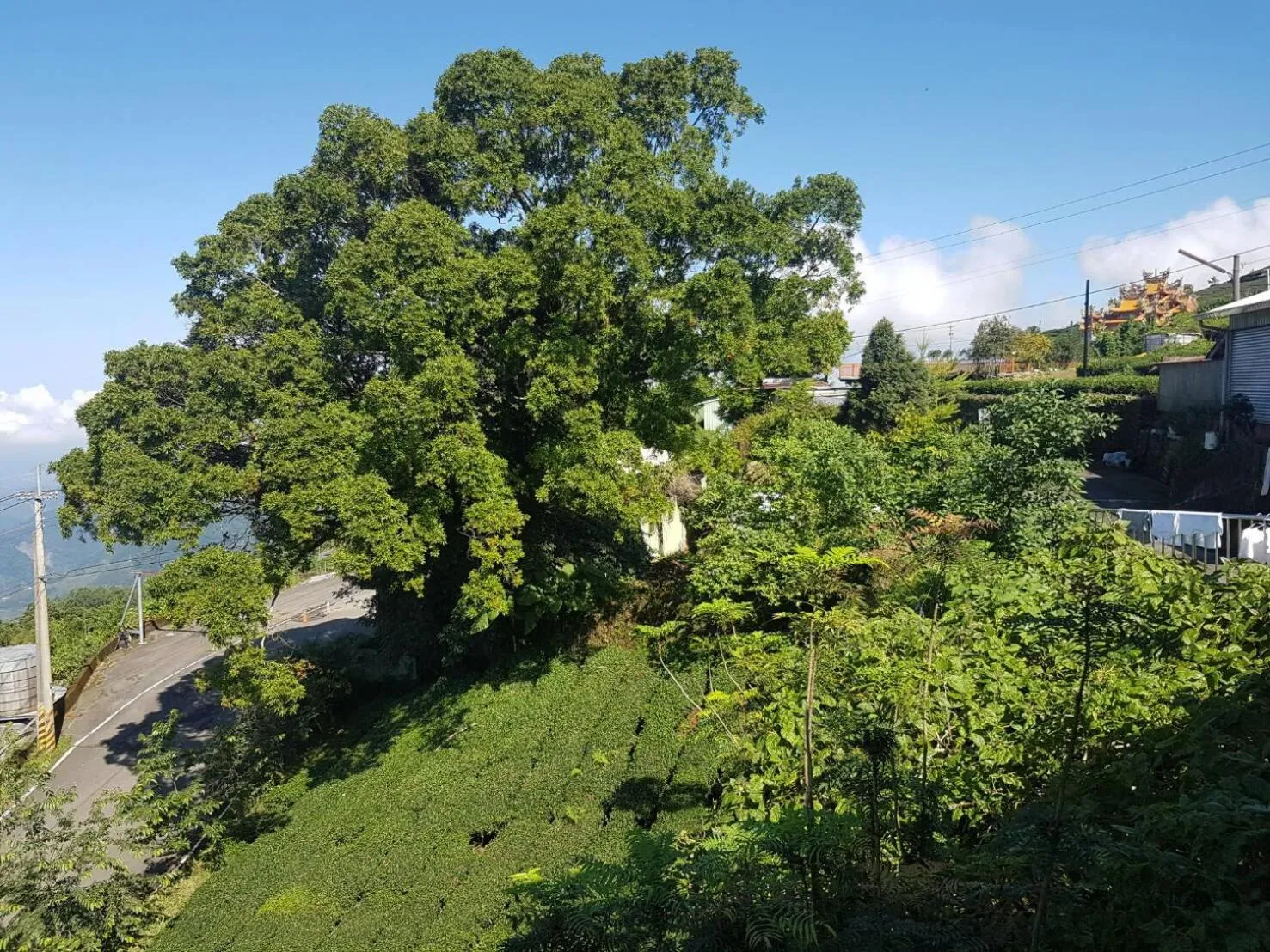 Day in Ming Yang B&B