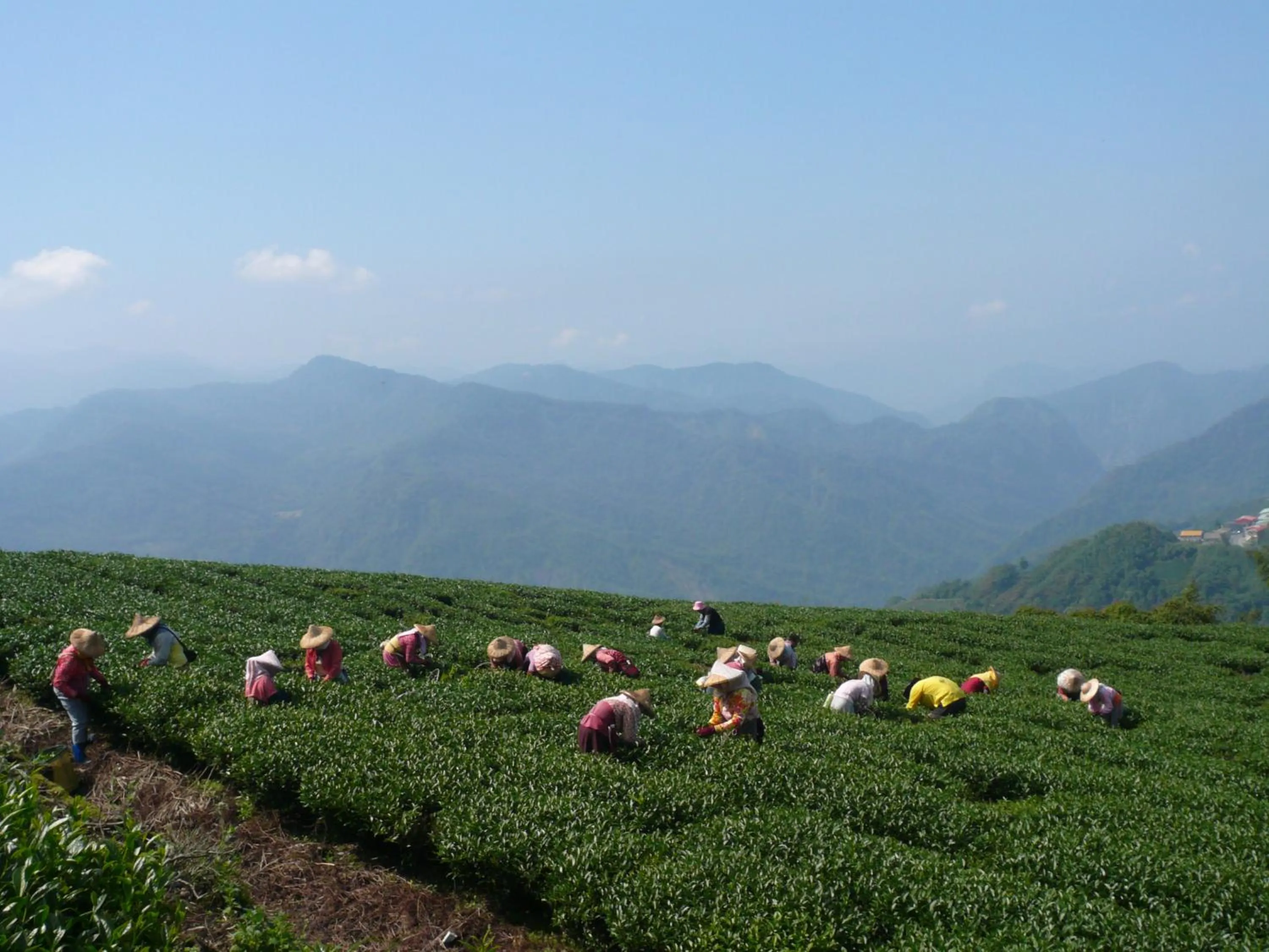 Property building in Ming Yang B&B