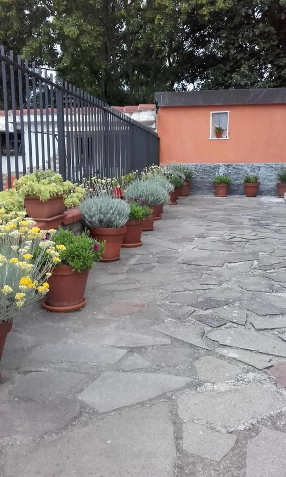 Floor plan in B&B Agorà Sarzana