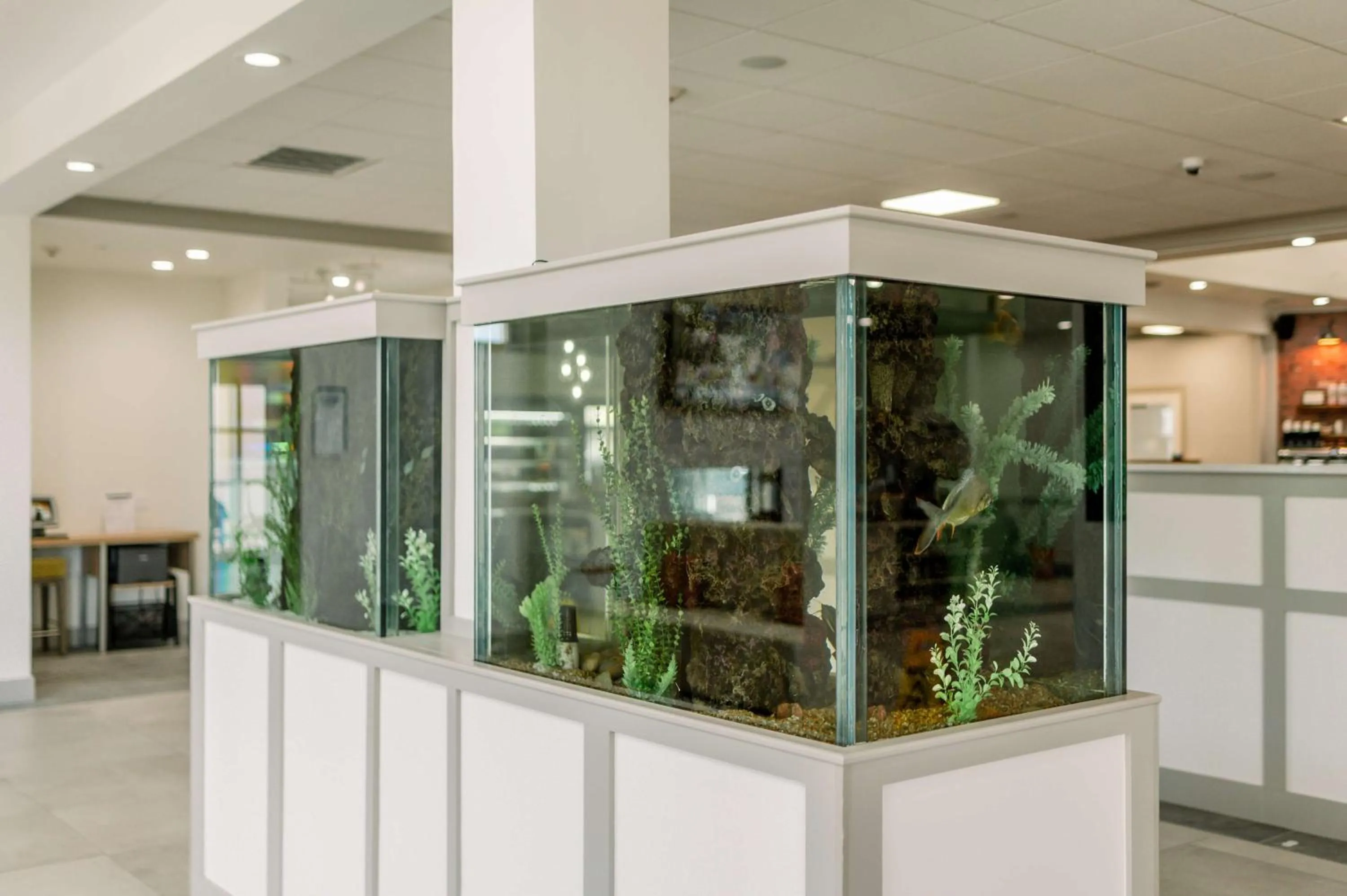 Lobby or reception in Hilton Garden Inn Outer Banks/Kitty Hawk