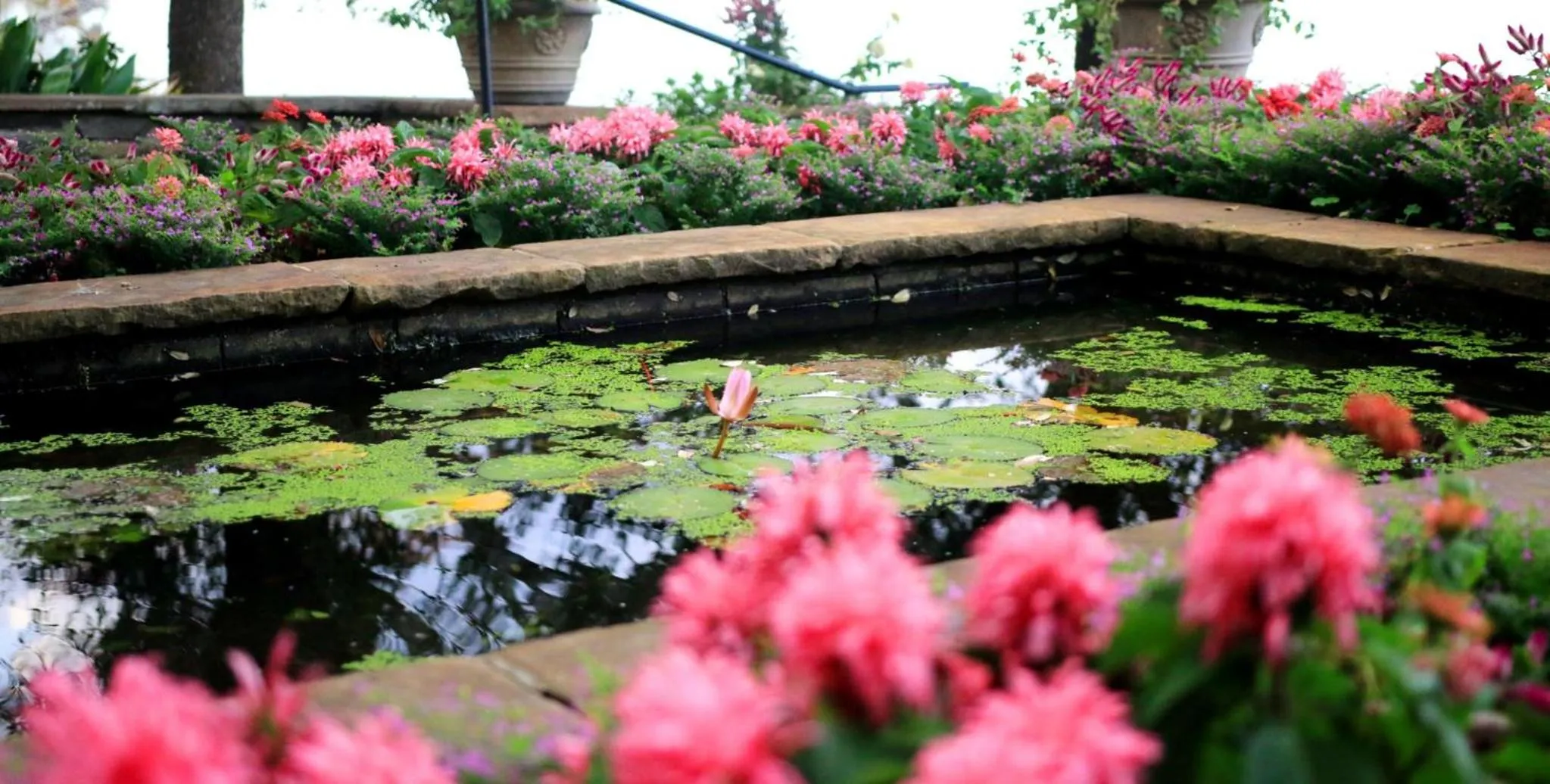 Nearby landmark in Holiday Inn Mobile West I-10 by IHG