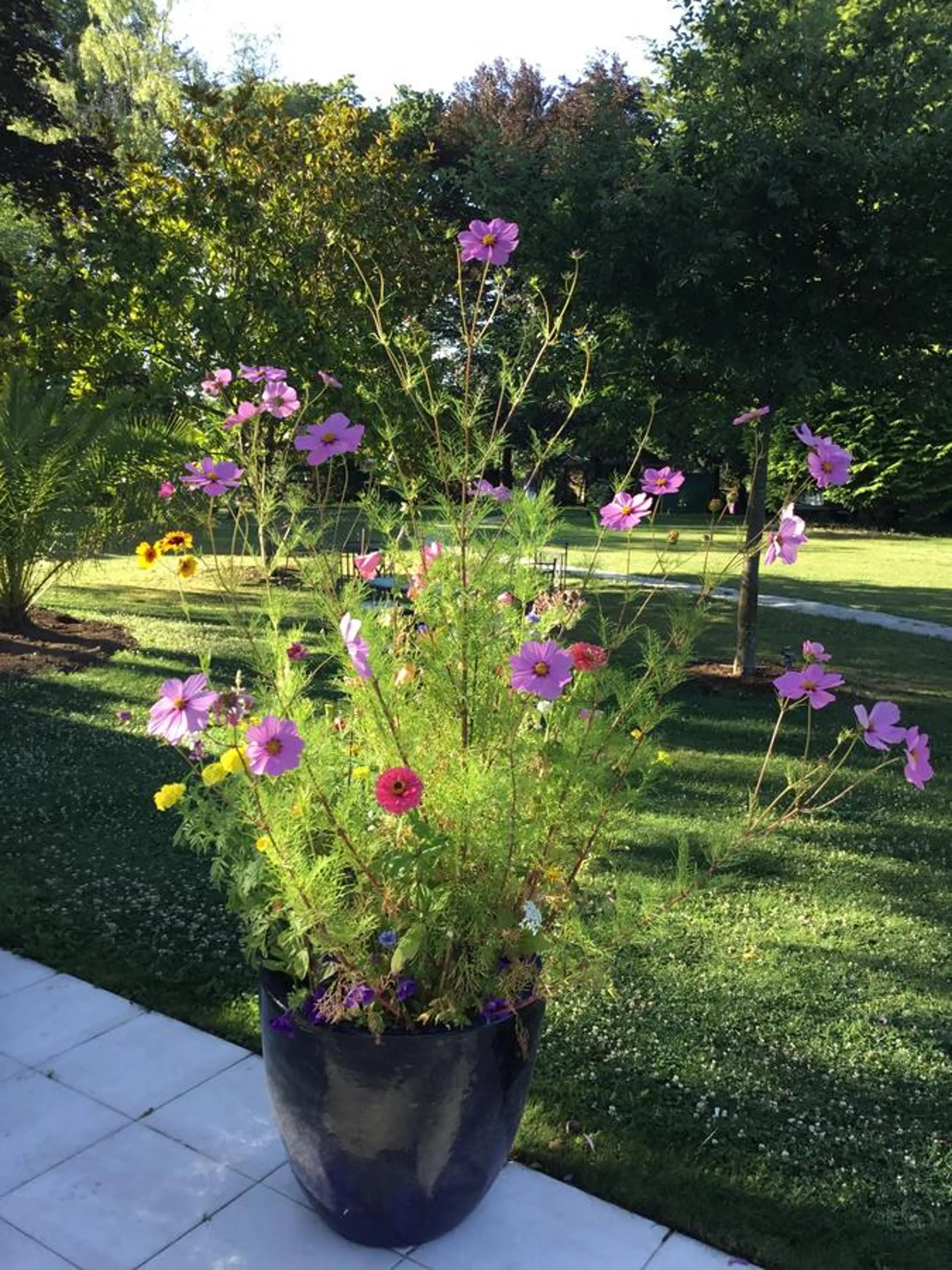 Garden view in La maison de l'Odet