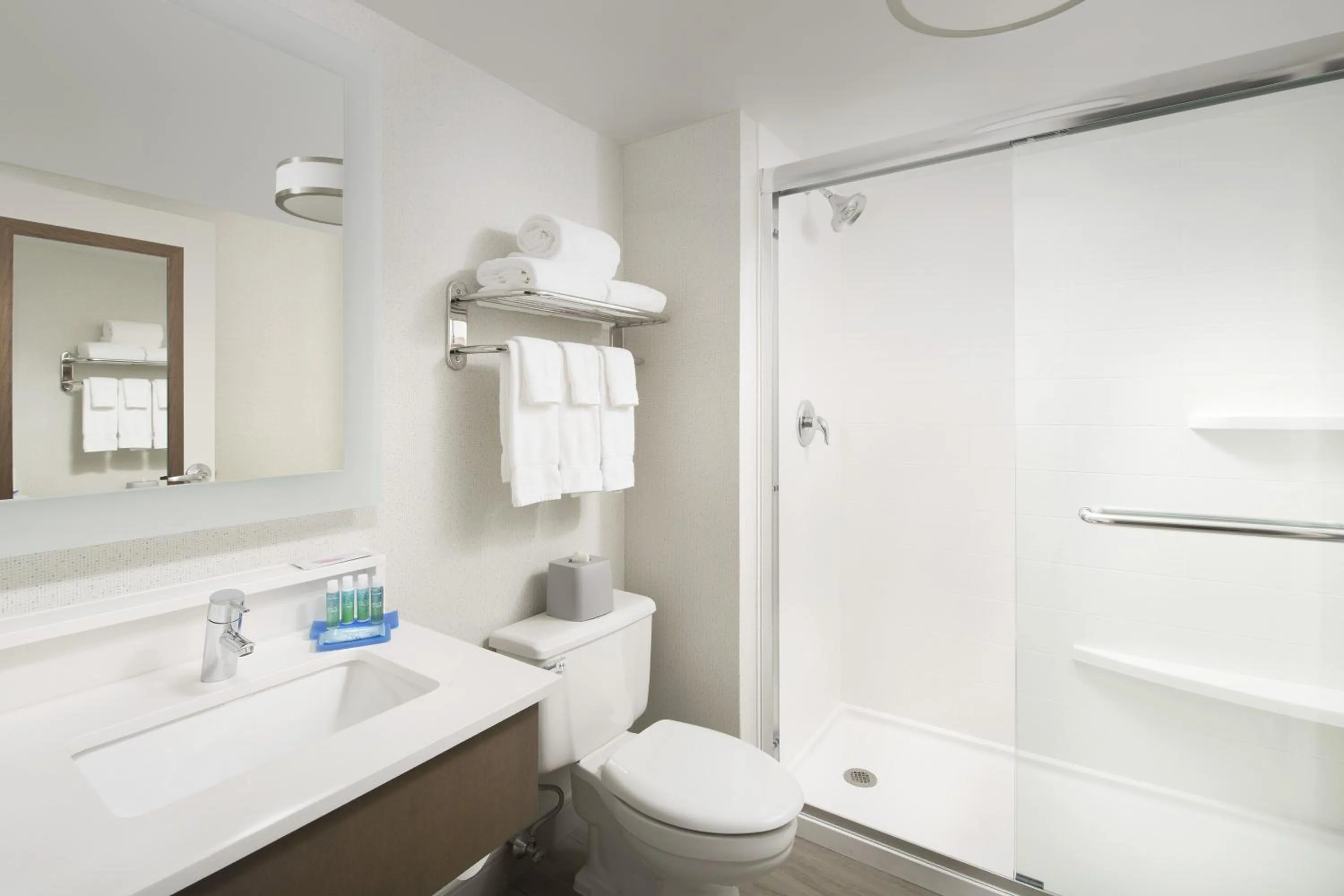 Bathroom in Holiday Inn Express Andover North - Lawrence by IHG