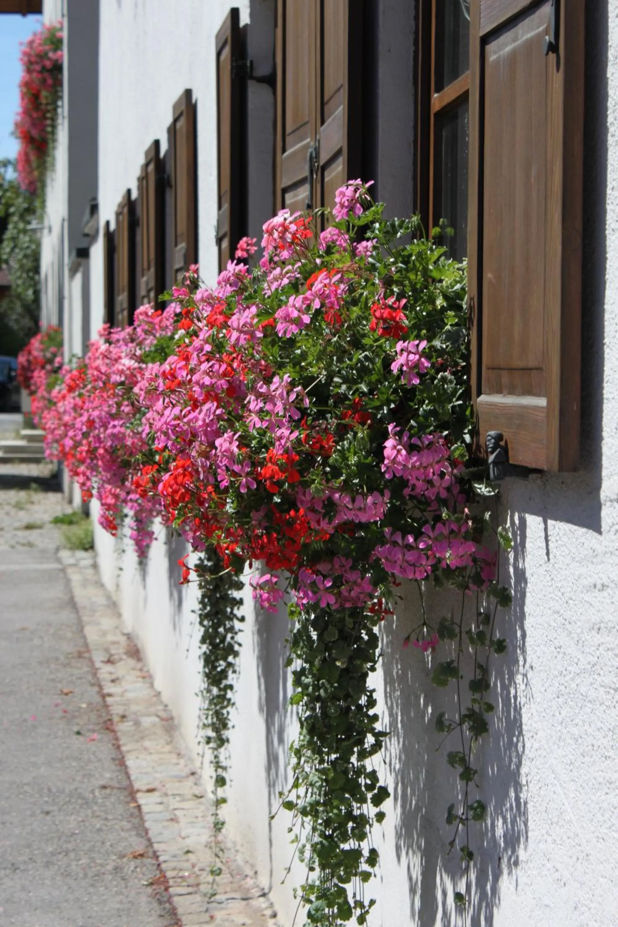 Facade/entrance in Romantik Hotel Chalet am Kiental